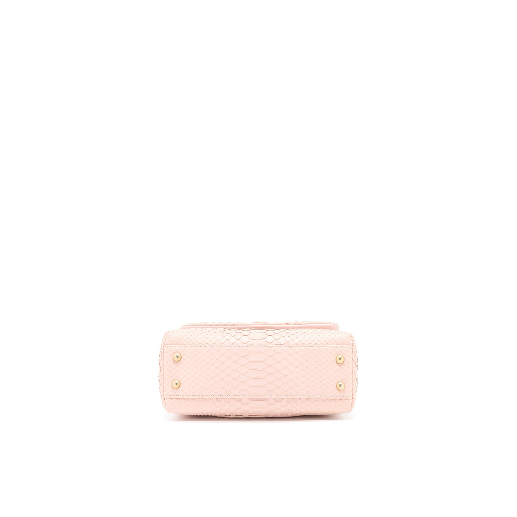 CHANEL SMALL COCO HANDLE PYTHON LEATHER LIGHT PINK BRUSHED GHW