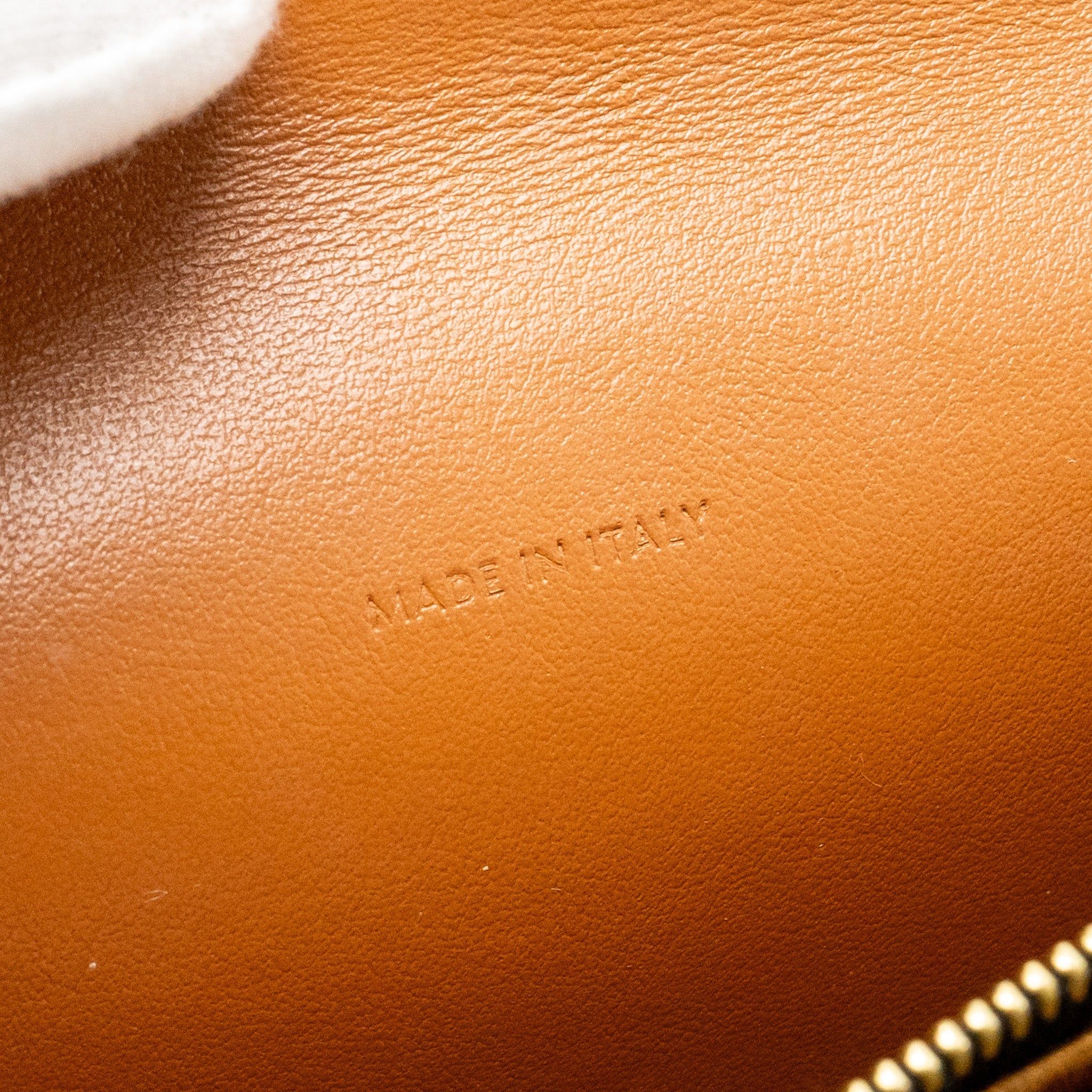 CELINE WALLET ON STRAP TRIOMPHE CANVAS/LAMBSKIN TAN GHW