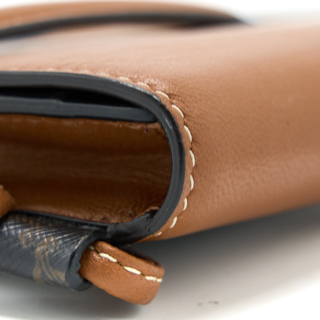 CELINE CROSSBODY VERTICAL PHONE CASE IN TRIOMPHE CANVAS/LAMBSKIN TAN