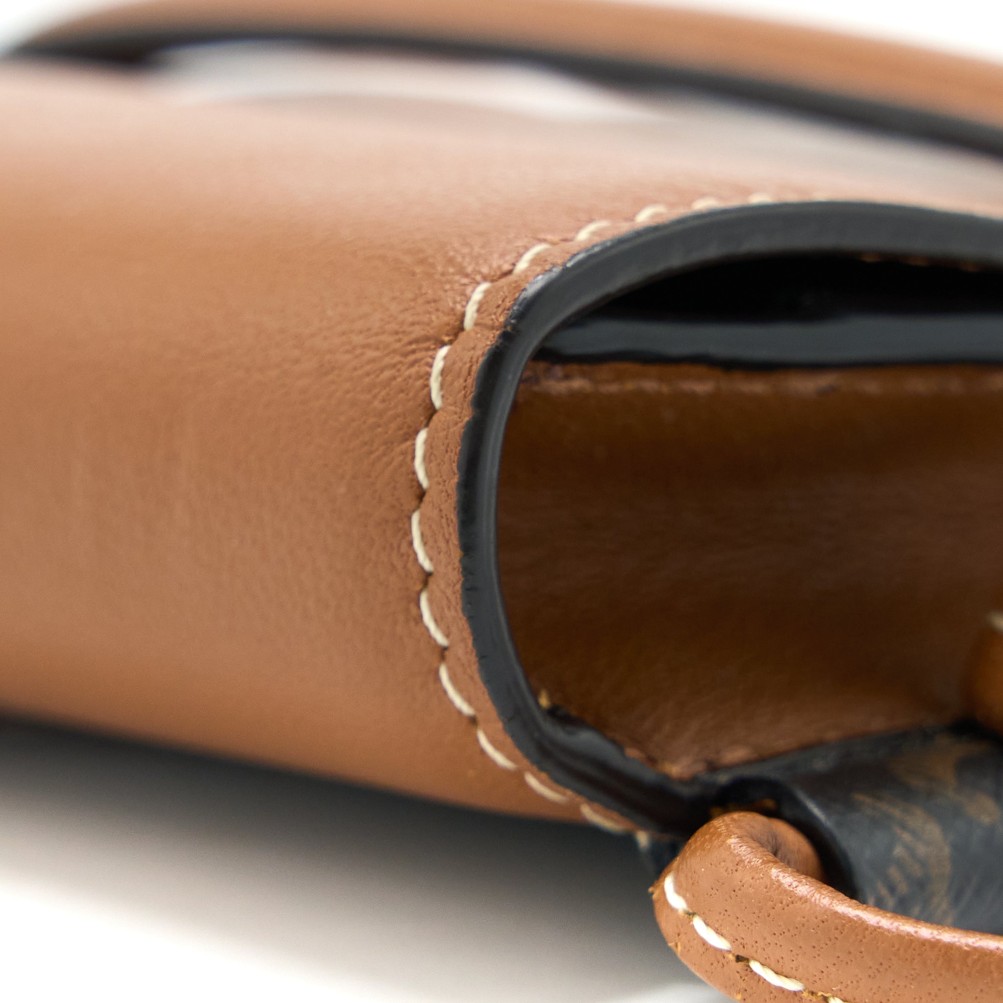CELINE CROSSBODY VERTICAL PHONE CASE IN TRIOMPHE CANVAS/LAMBSKIN TAN