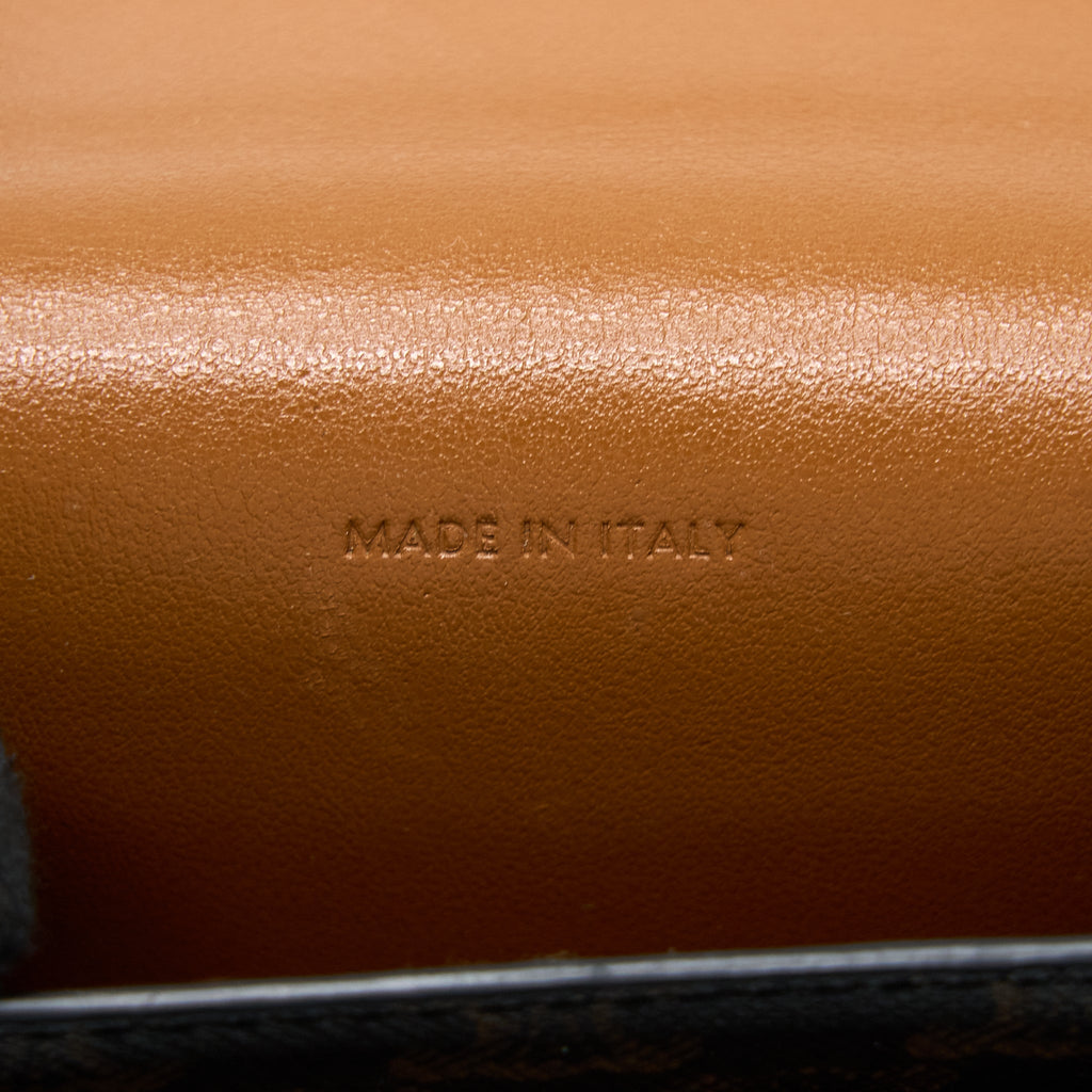 CELINE CROSSBODY VERTICAL PHONE CASE IN TRIOMPHE CANVAS/LAMBSKIN TAN