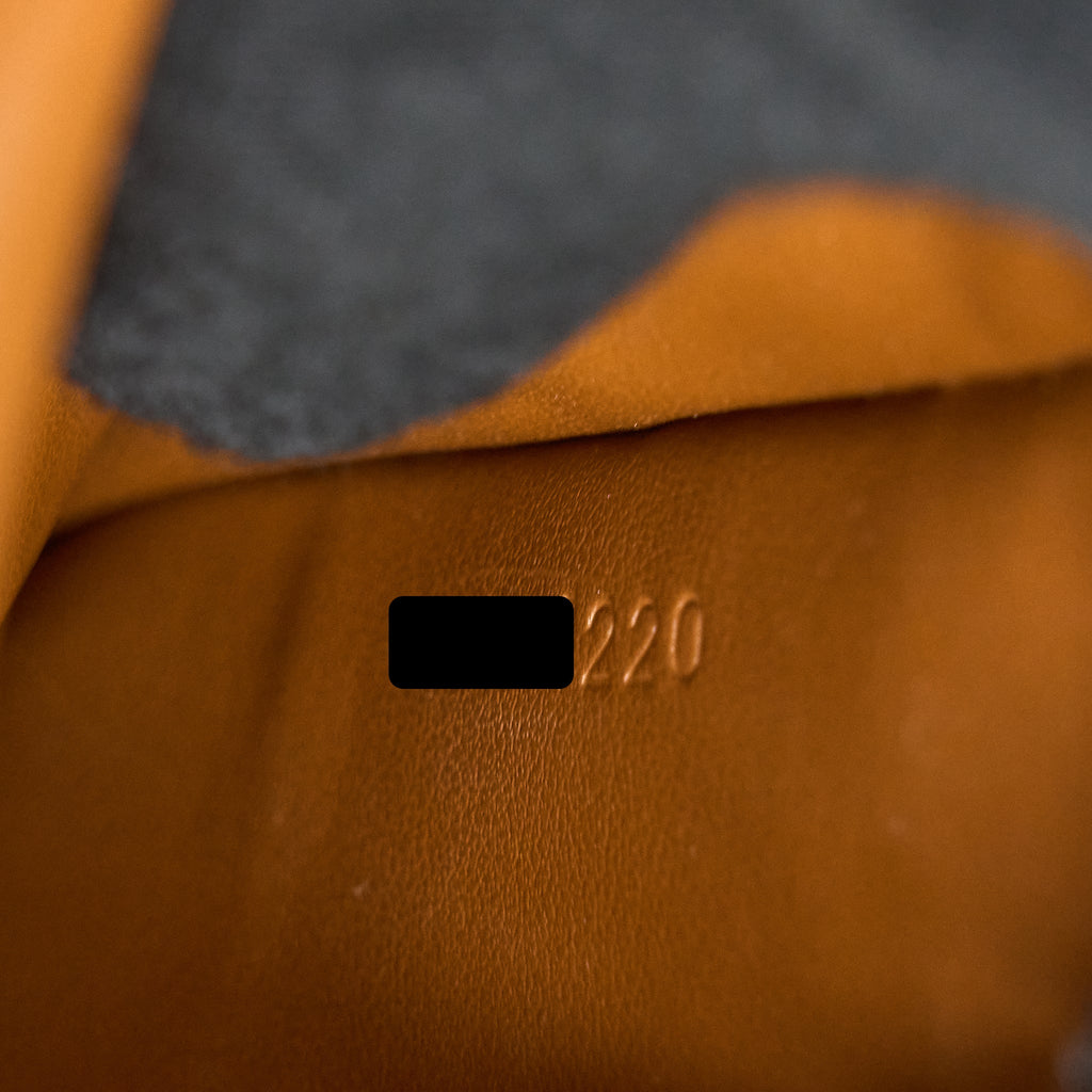 CELINE CROSSBODY VERTICAL PHONE CASE IN TRIOMPHE CANVAS/LAMBSKIN TAN