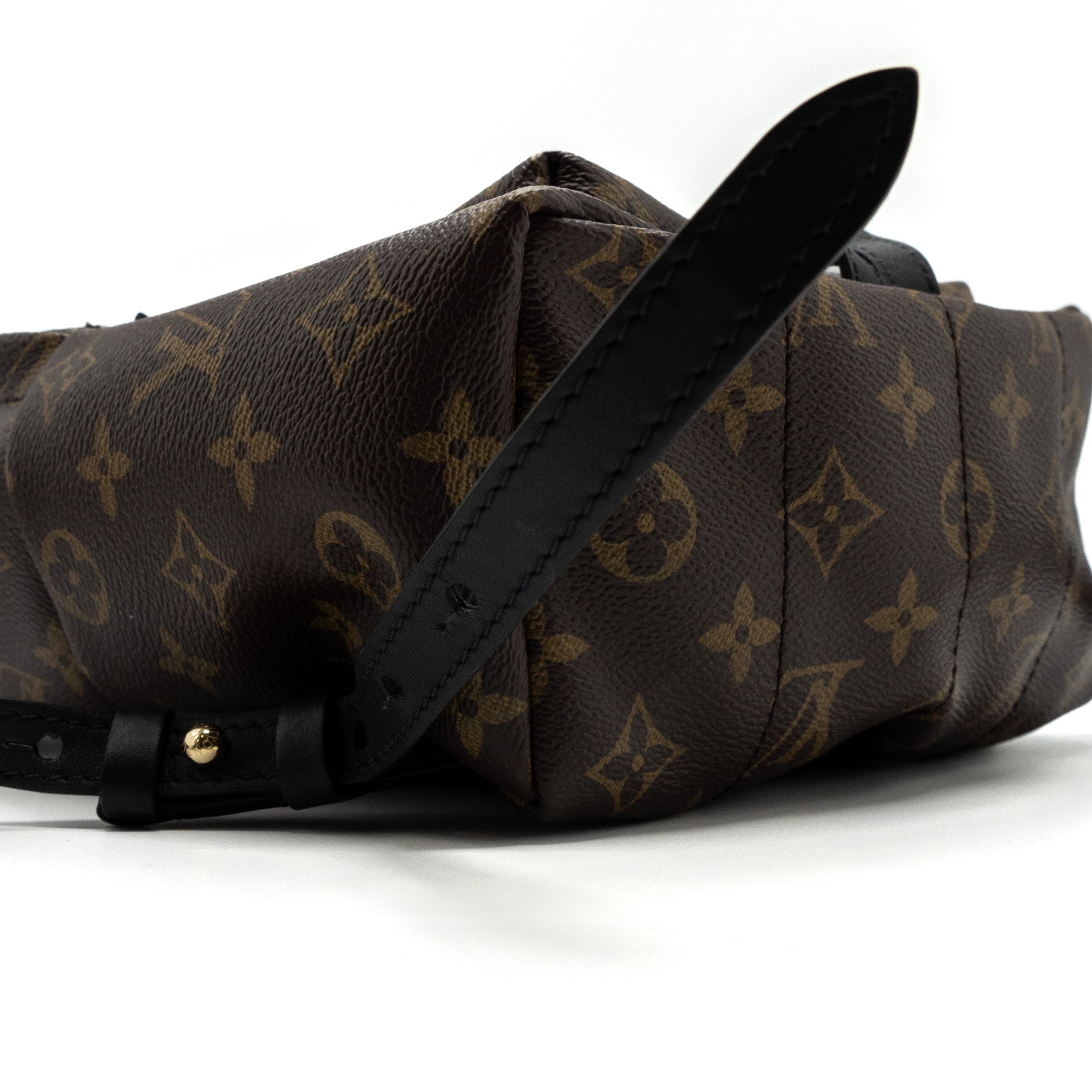 LOUIS VUITTON PALM SPRING BACKPACK PM MONOGRAM CANVAS GHW