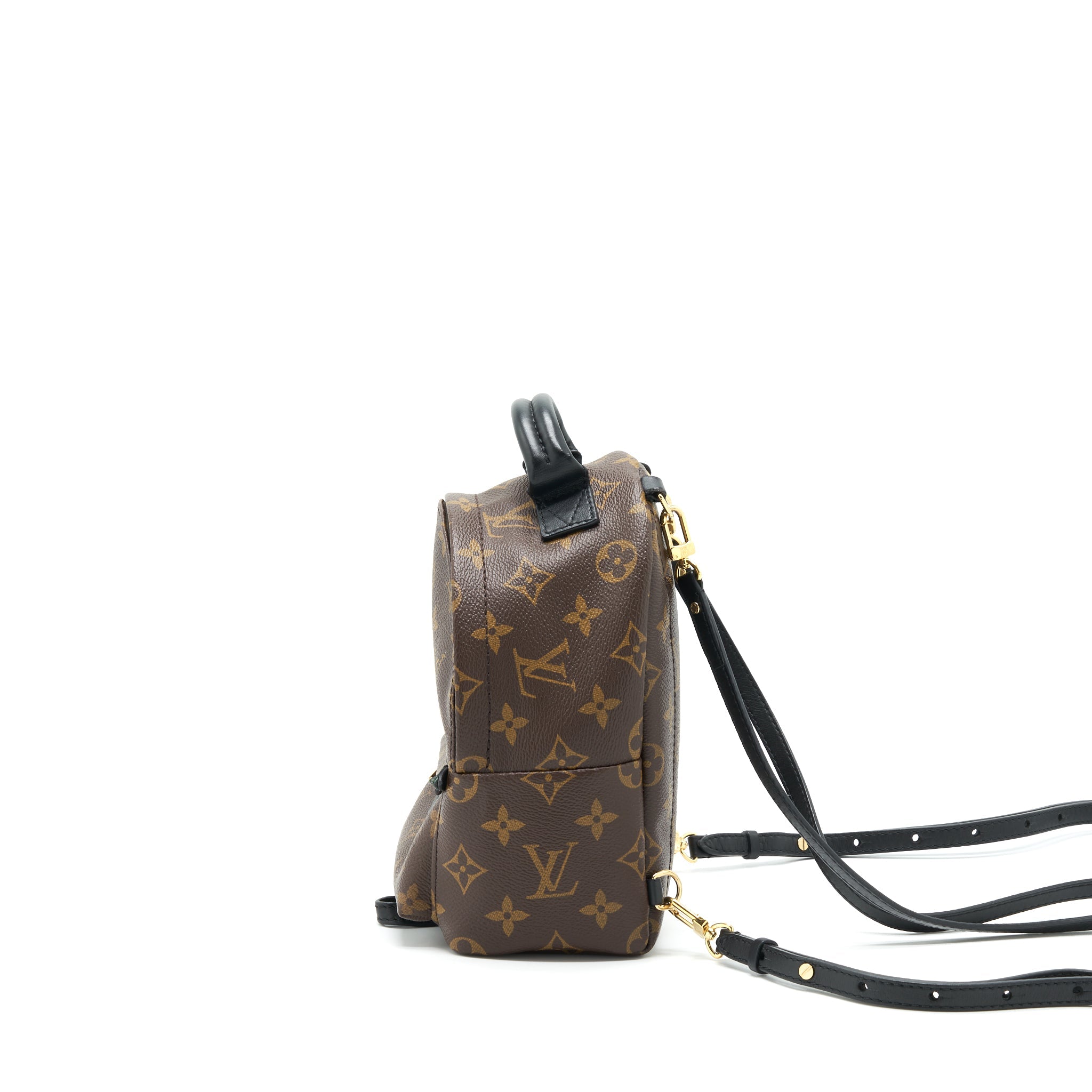 LOUIS VUITTON PALM SPRING MINI BACKPACK MONOGRAM CANVAS