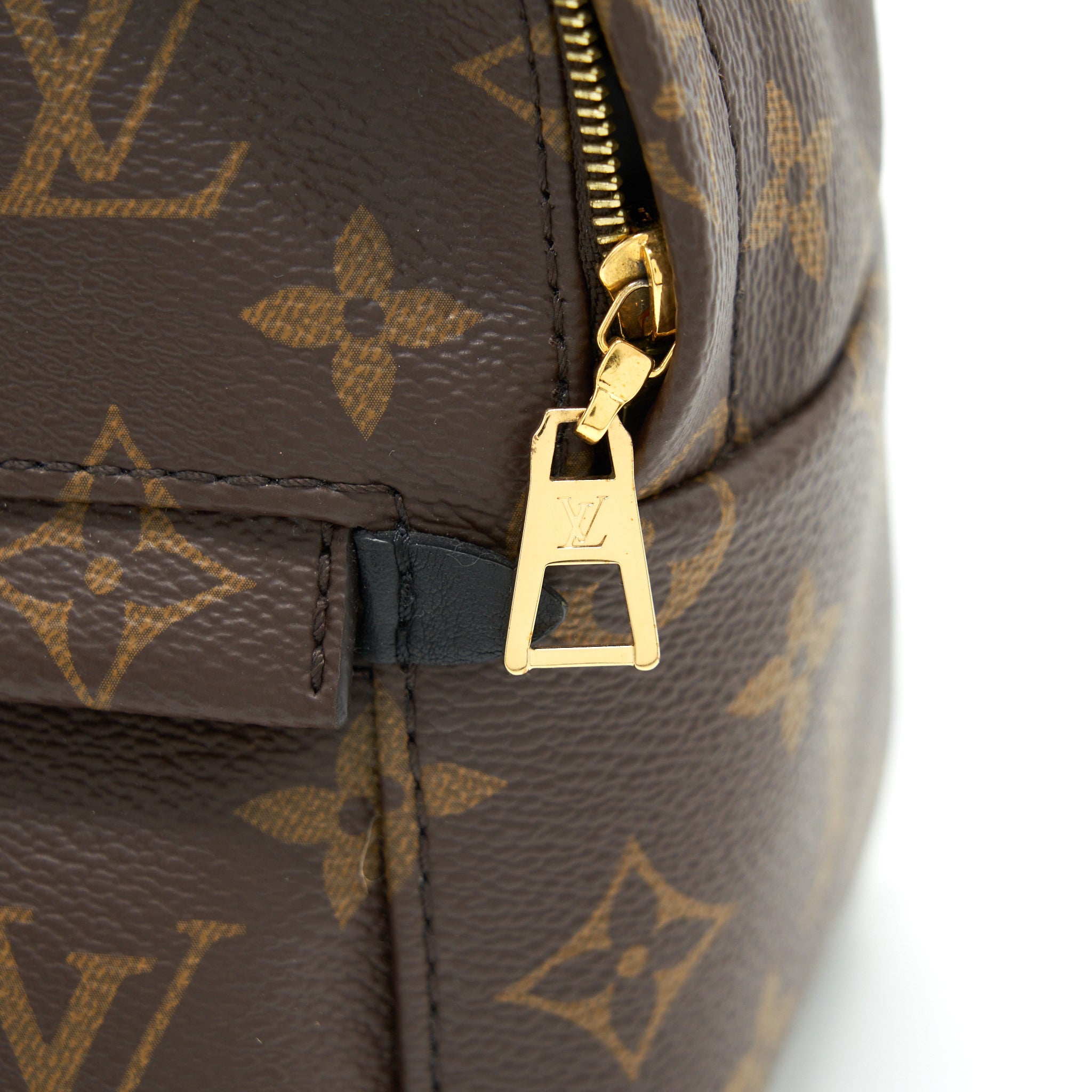 LOUIS VUITTON PALM SPRING MINI BACKPACK MONOGRAM CANVAS GHW