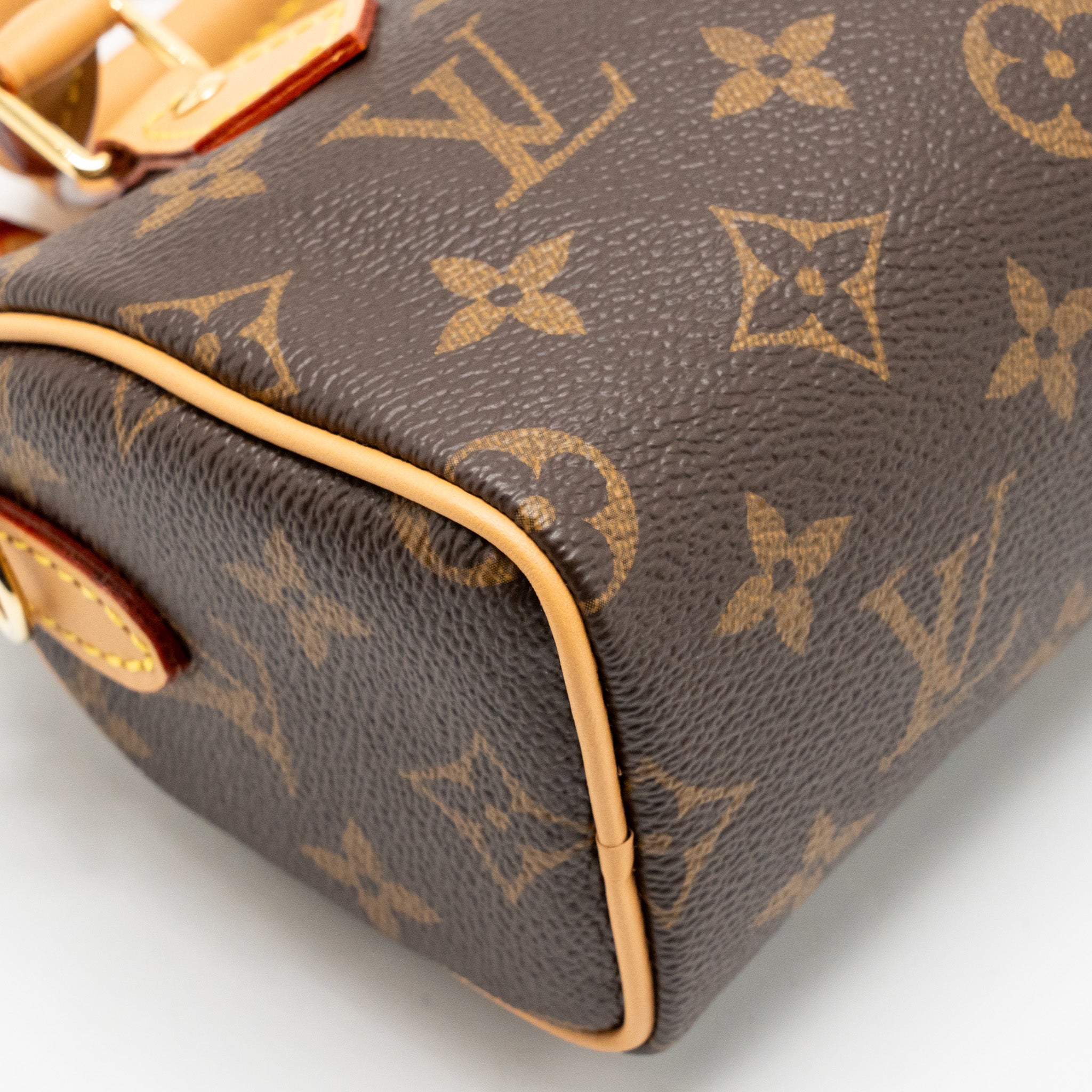 LOUIS VUITTON NANO SPEEDY MONOGRAM CANVAS GHW