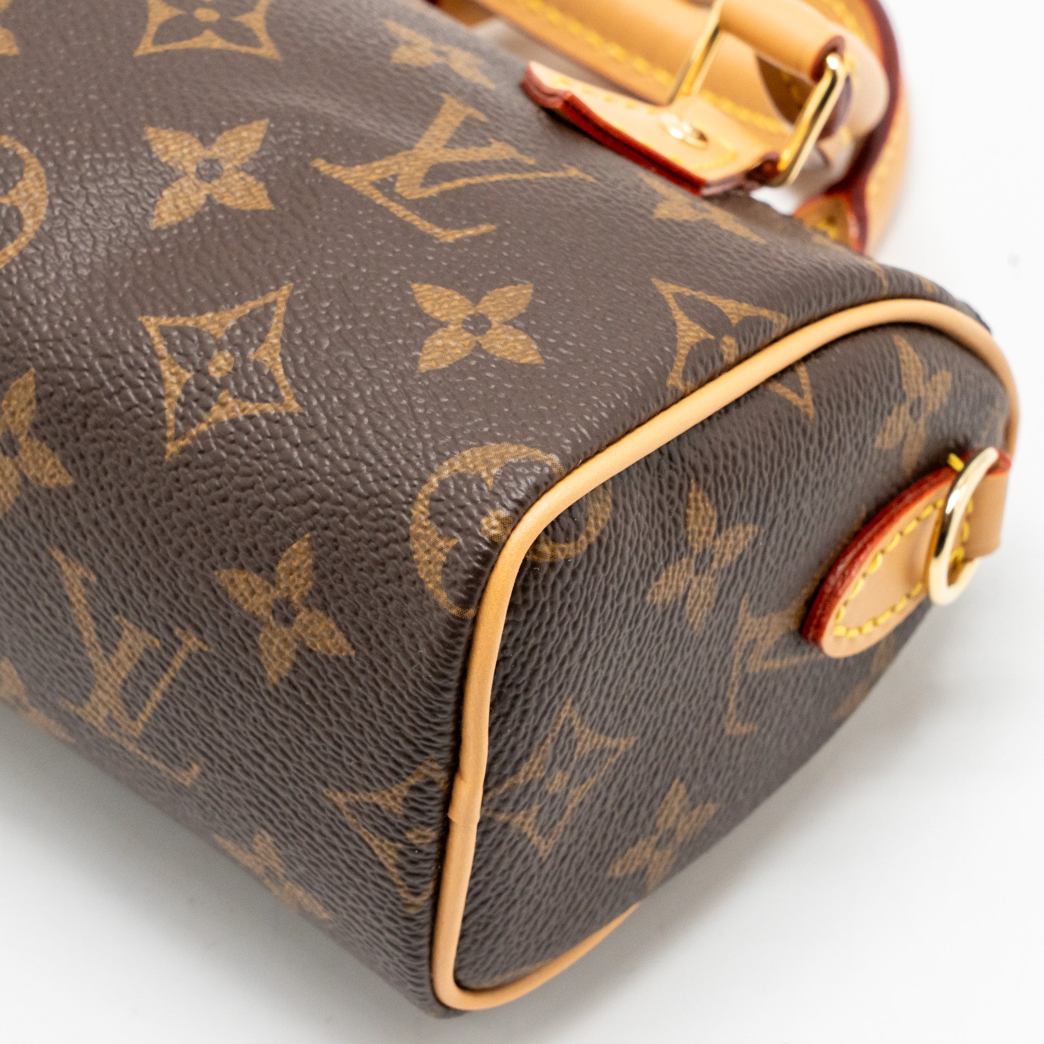 LOUIS VUITTON NANO SPEEDY MONOGRAM CANVAS GHW