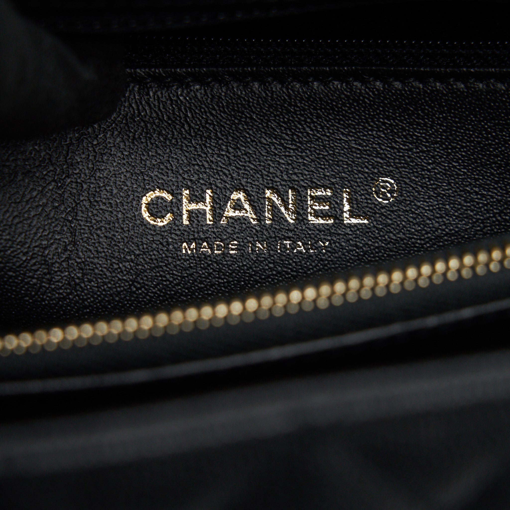 CHANEL COCO HANDLE WITH PYTHON HANDLE
