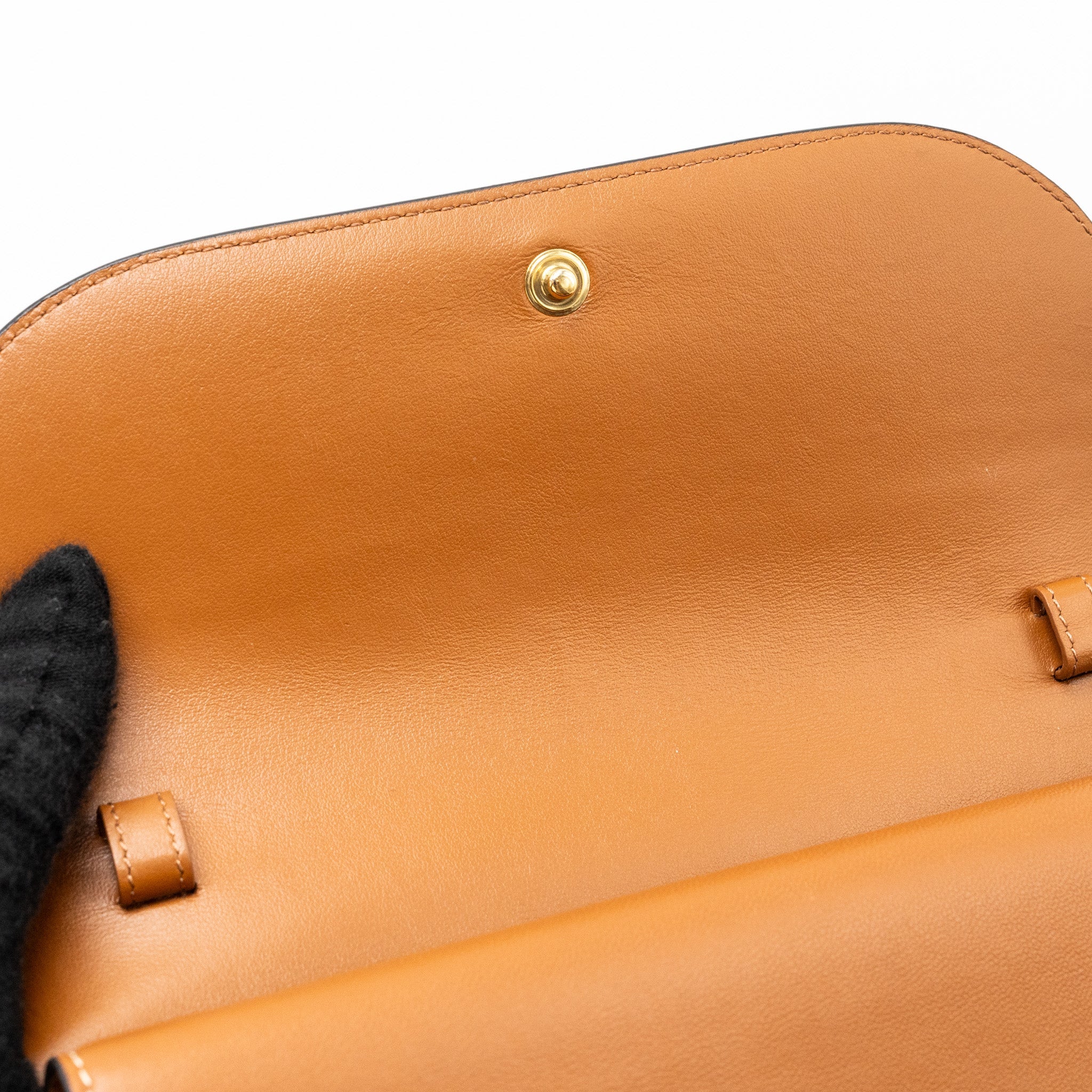 CELINE WALLET ON STRAP TRIOMPHE CANVAS / LAMBSKIN TAN GHW