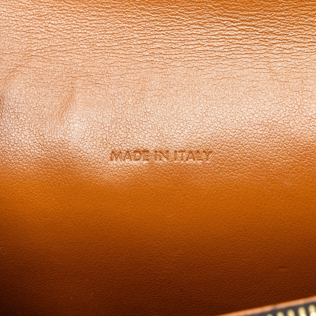 CELINE WALLET ON STRAP TRIOMPHE CANVAS / LAMBSKIN TAN GHW