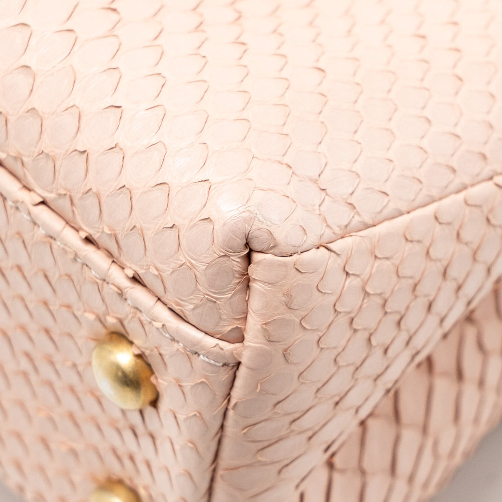 CHANEL SMALL COCO HANDLE PYTHON LIGHT PINK GHW