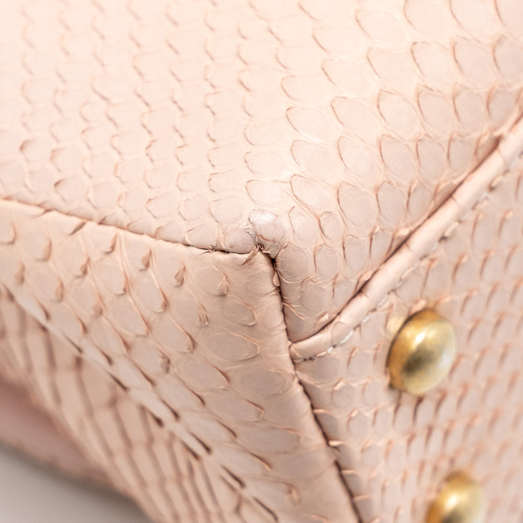 CHANEL SMALL COCO HANDLE PYTHON LIGHT PINK GHW