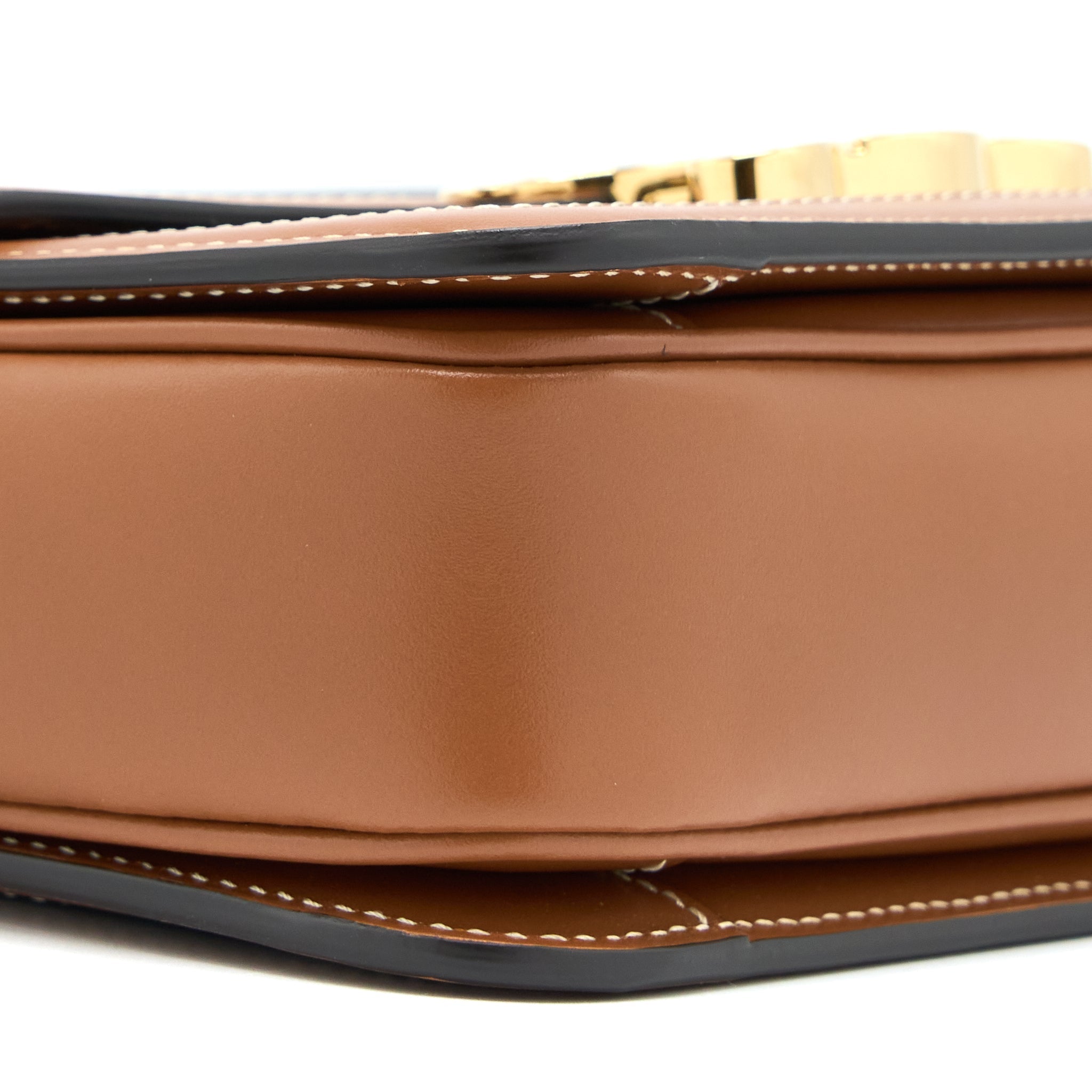 CELINE TEEN TRIOMPHE BAG IN TRIOMPHE CANVAS AND CALFSKIN GHW
