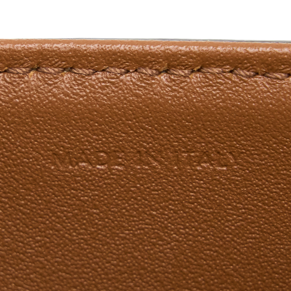 CELINE TEEN TRIOMPHE BAG IN TRIOMPHE CANVAS AND CALFSKIN GHW