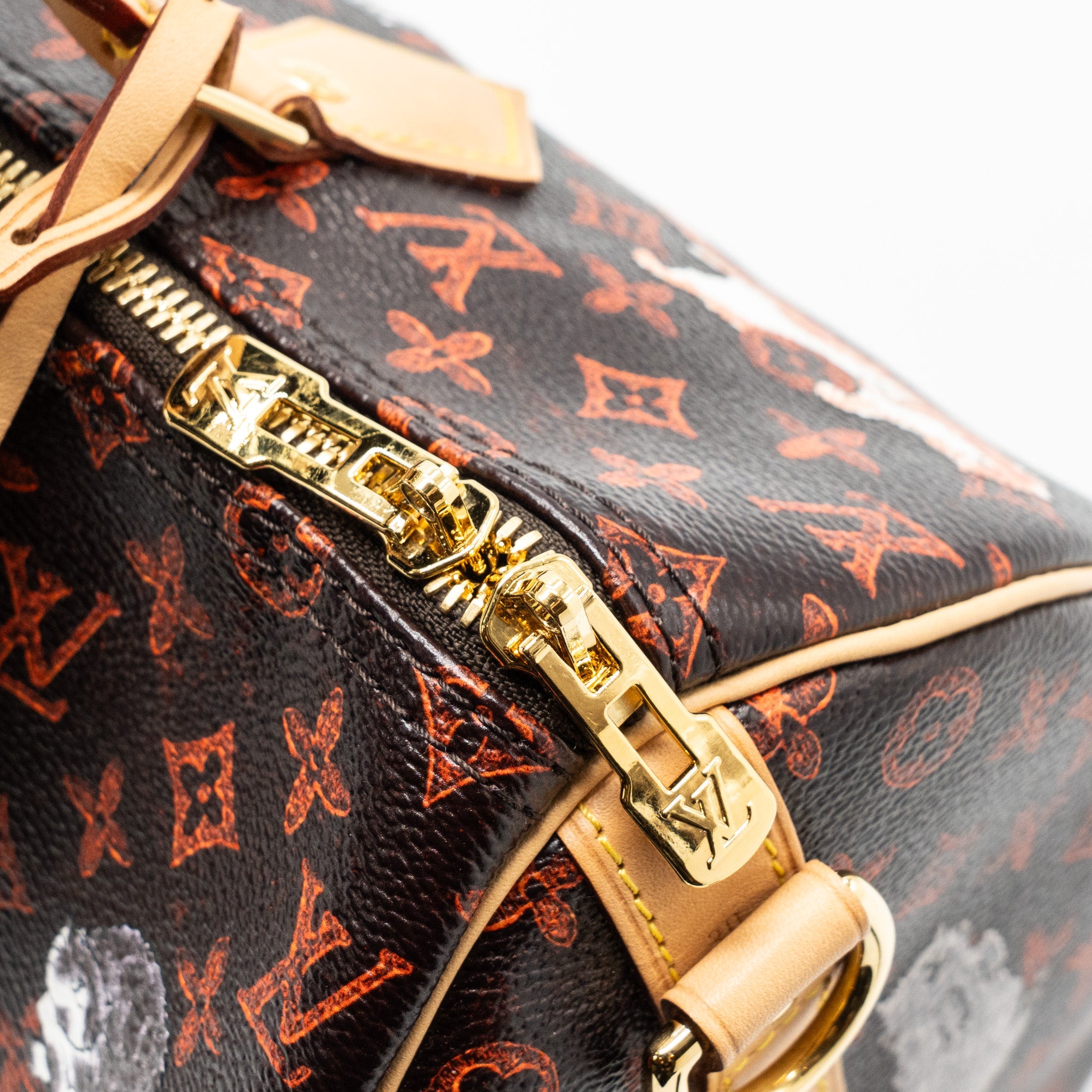 LOUIS VUITTON SPEEDY BANDOULIERE 30 CATOGRAM LIMITED EDITION CANVAS GHW