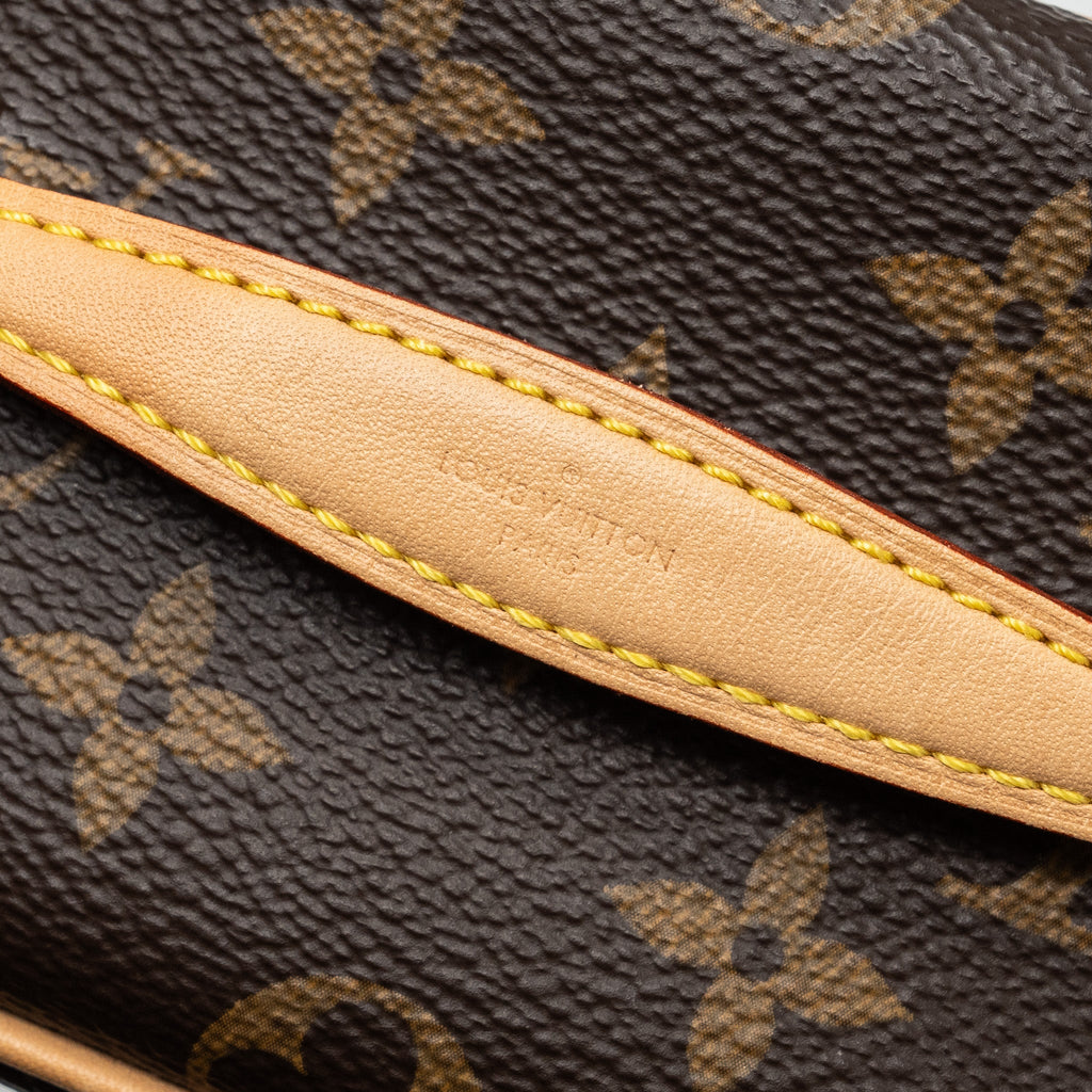 LOUIS VUITTON NICE NANO MONOGRAM CANVAS GHW