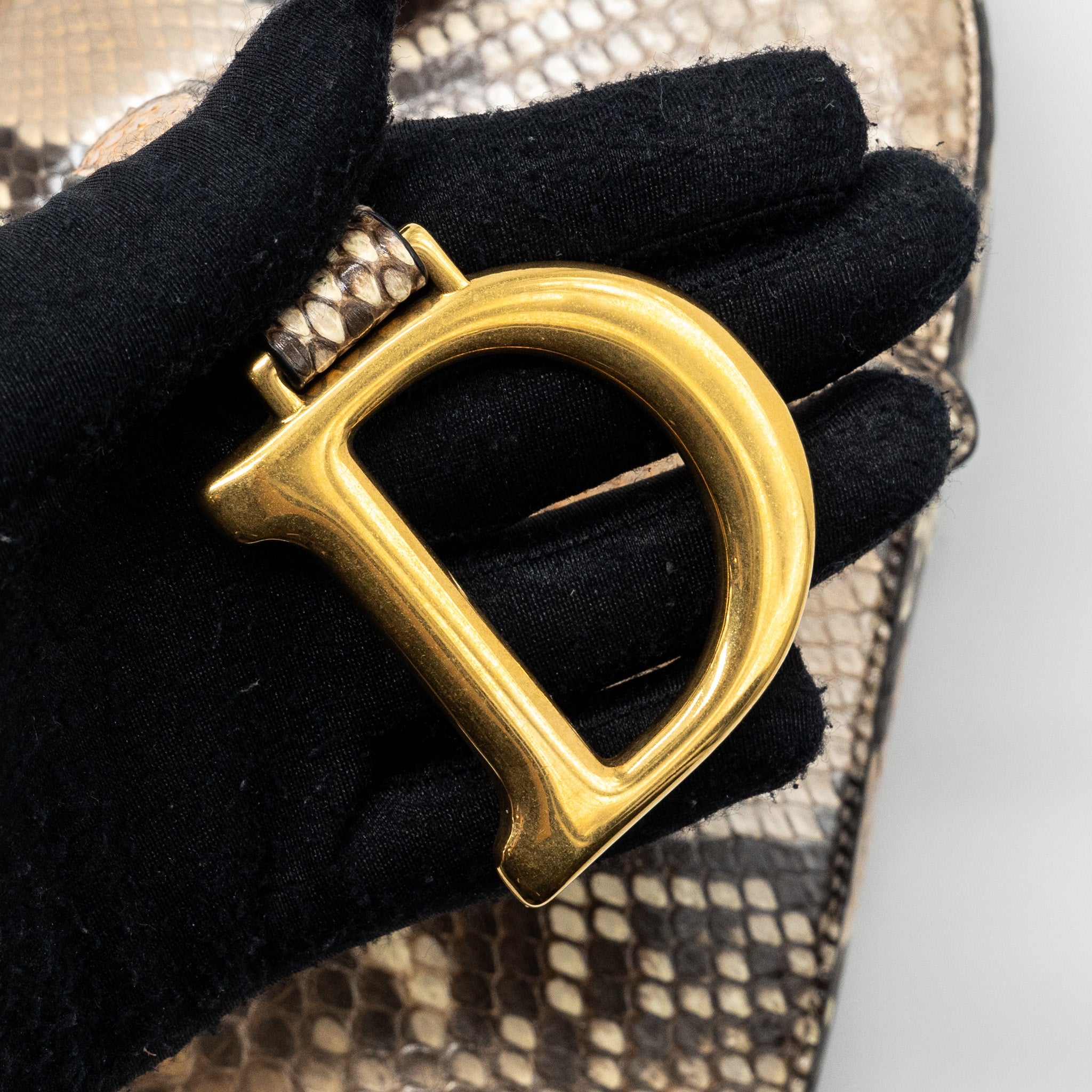 DIOR MEDIUM SADDLE BAG PYTHON MULTICOLOR GHW