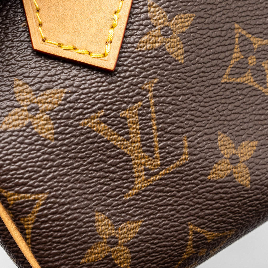 LOUIS VUITTON NANO SPEEDY MONOGRAM CANVAS GHW