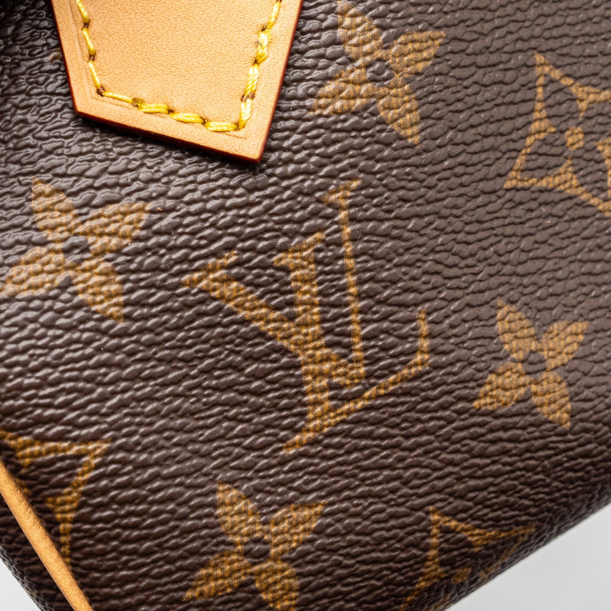 LOUIS VUITTON NANO SPEEDY MONOGRAM CANVAS GHW