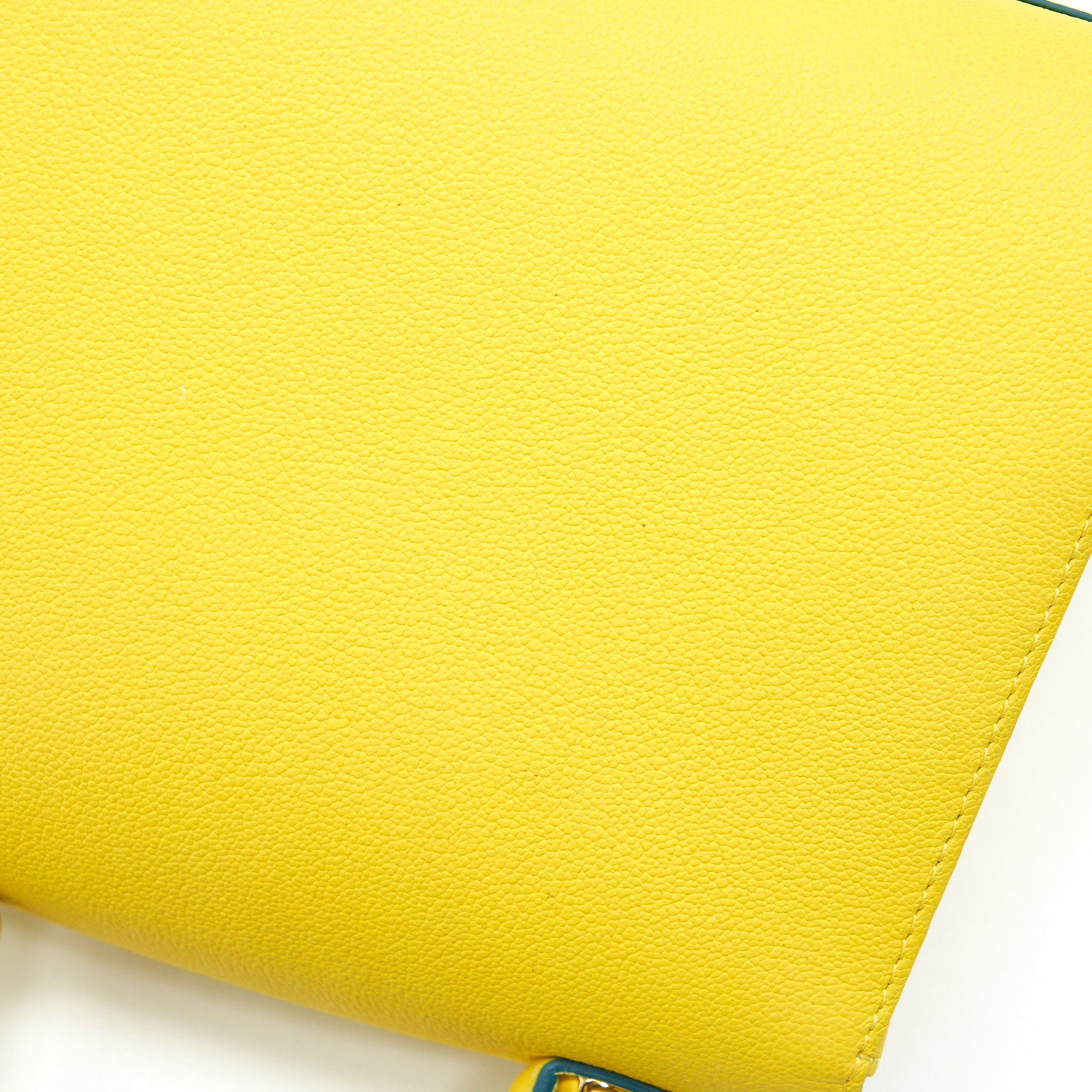 DELVAUX MINI BRILLIANT BAG IN YELLOW WITH RGHW