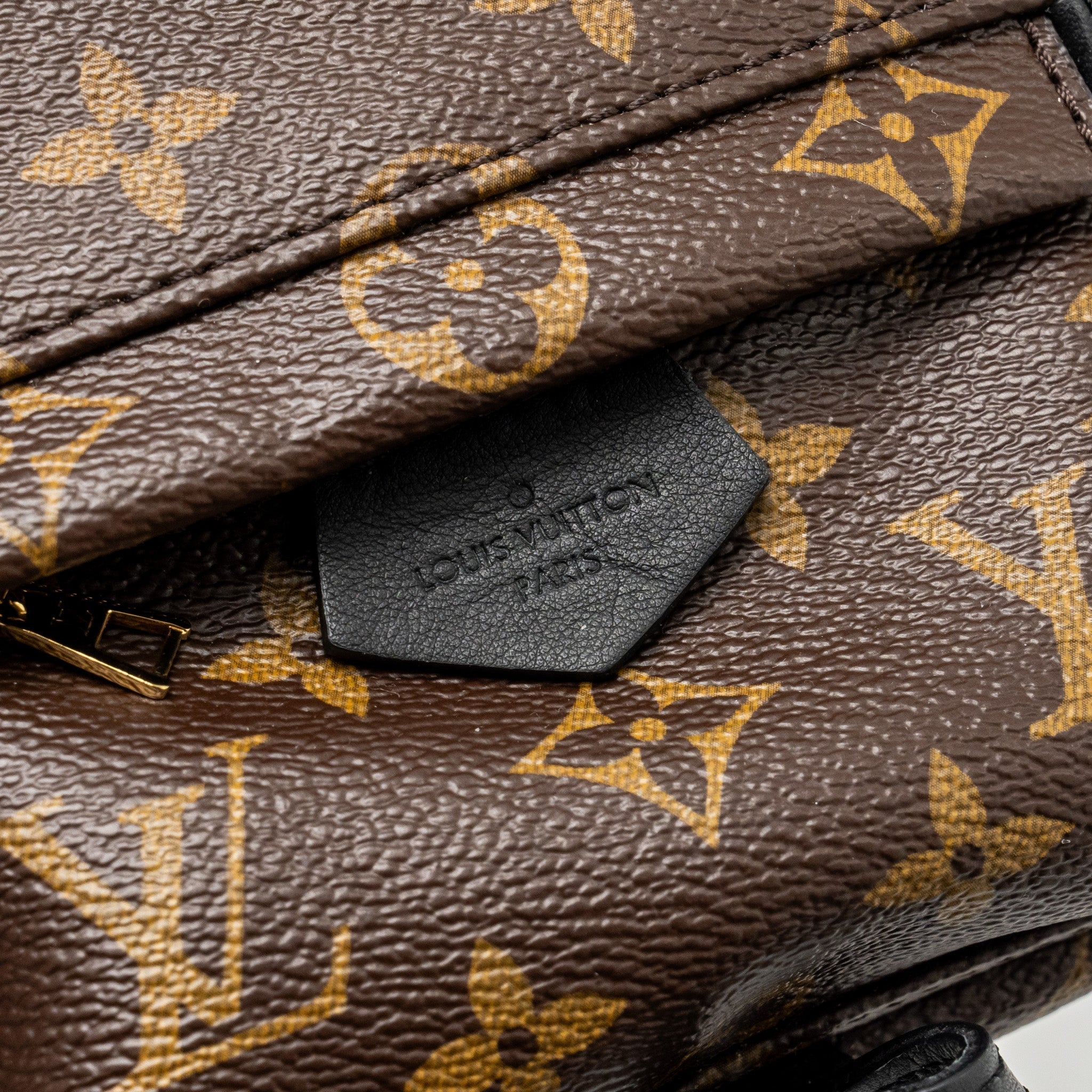 LOUIS VUITTON MINI PALM SPRING BACKPACK MONOGRAM CANVAS GHW