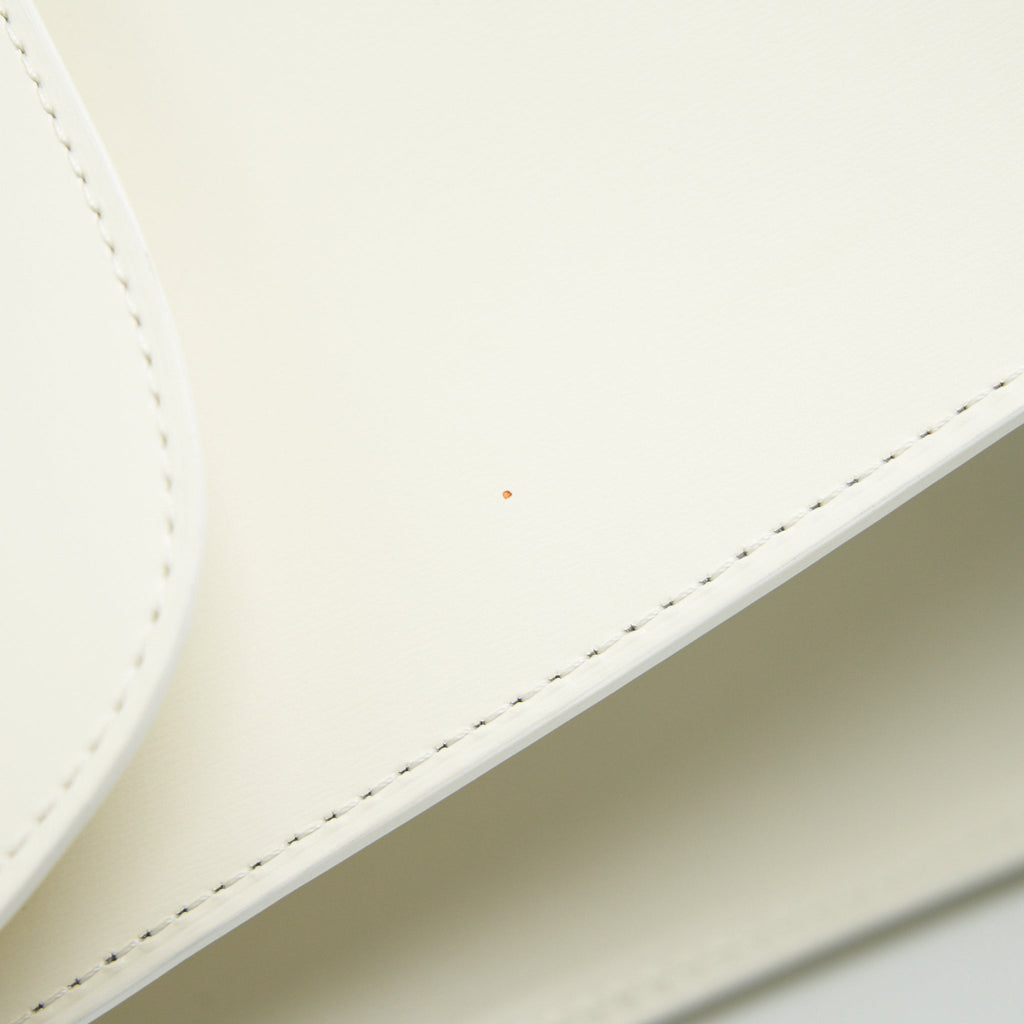 DELVAUX BRILLIANT MM IN WHITE BOX CALFSKIN WHW