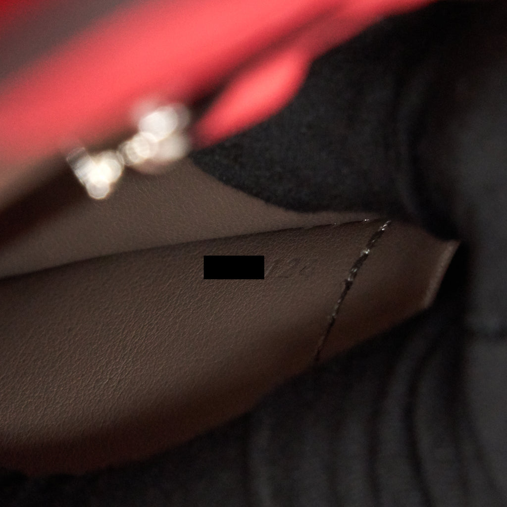 LOUIS VUITTON CAPUCINES MM PINK WITH SHW