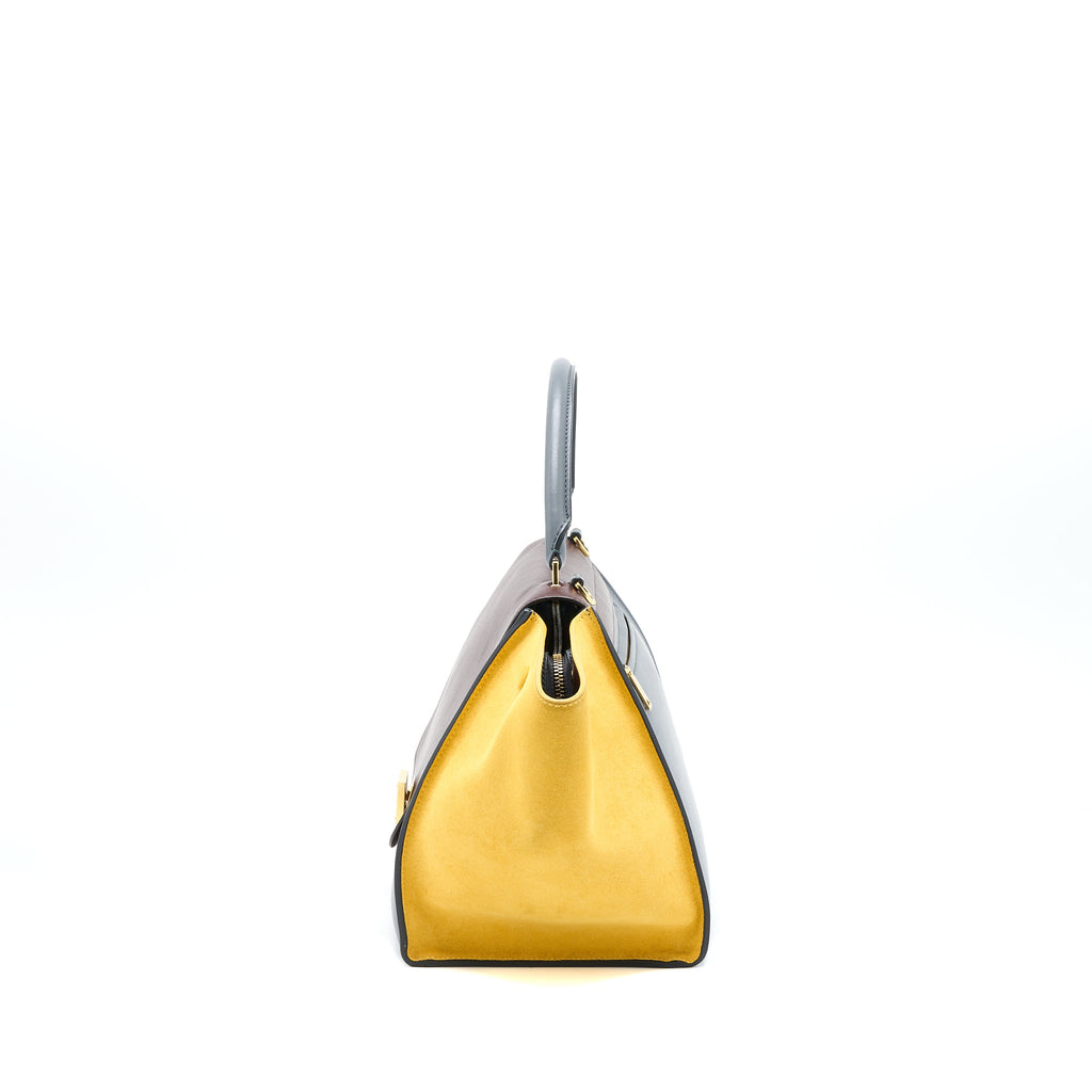 CELINE TRAPEZE BAG MULTICOLOURED GHW