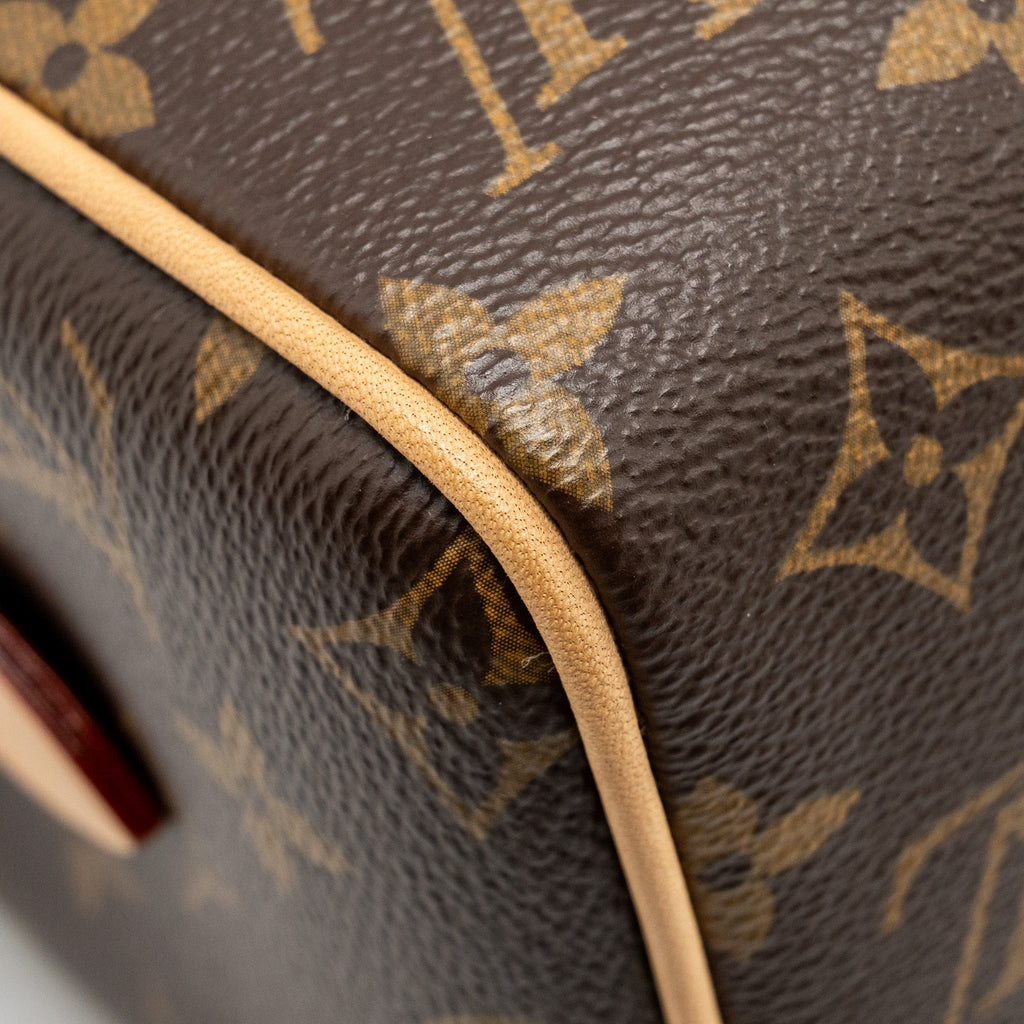 LOUIS VUITTON SPEEDY BANDOULIERE 20 MONOGRAM CANVAS GHW