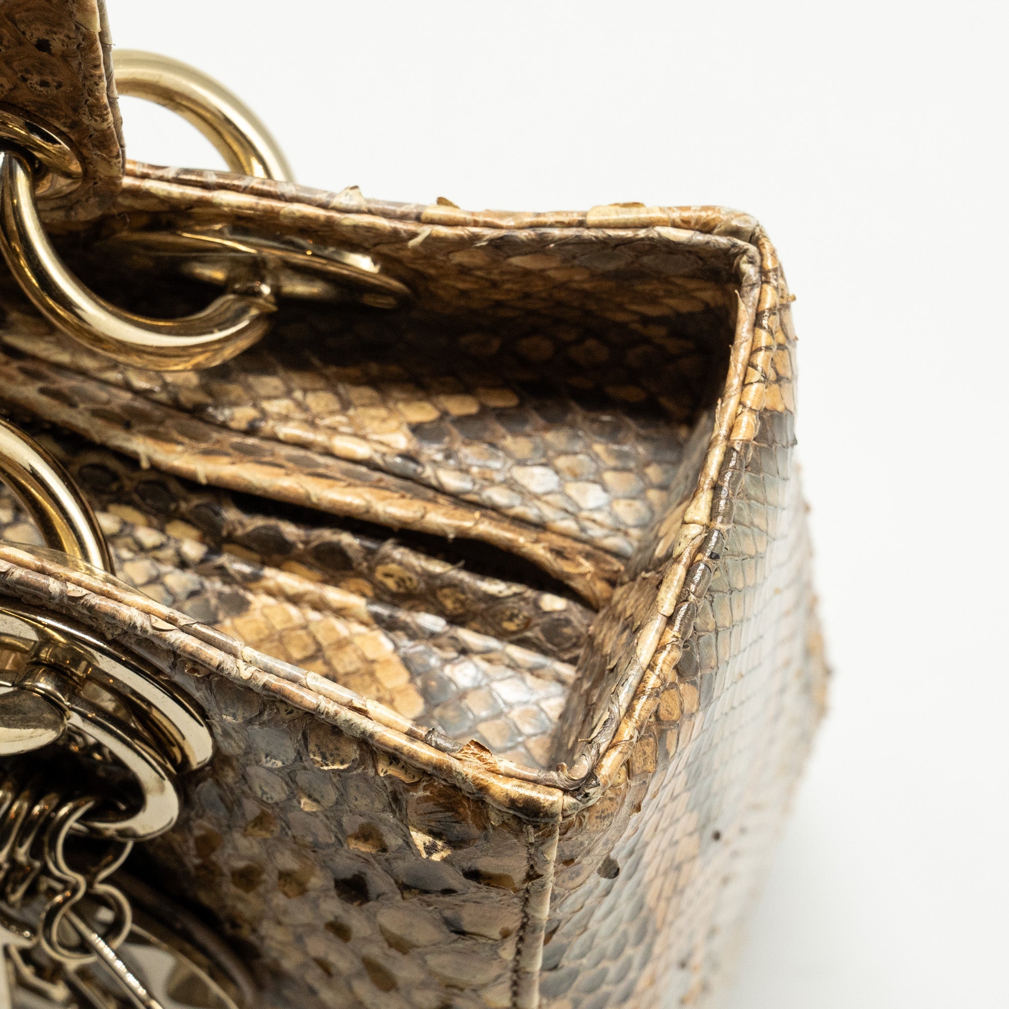 DIOR MEDIUM LADY DIOR PYTHON MULTICOLOUR LGHW