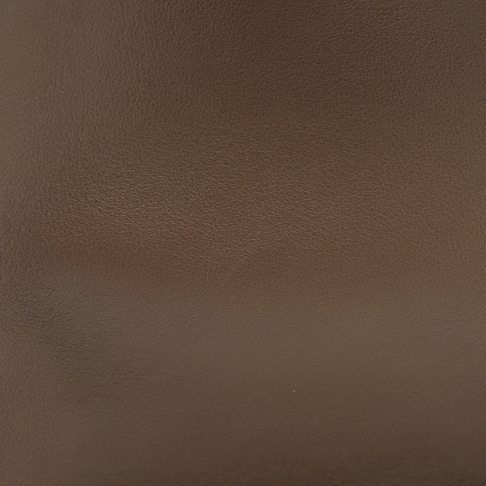 FENDI PEEKABOO X-LITE MEDIUM BROWN GHW