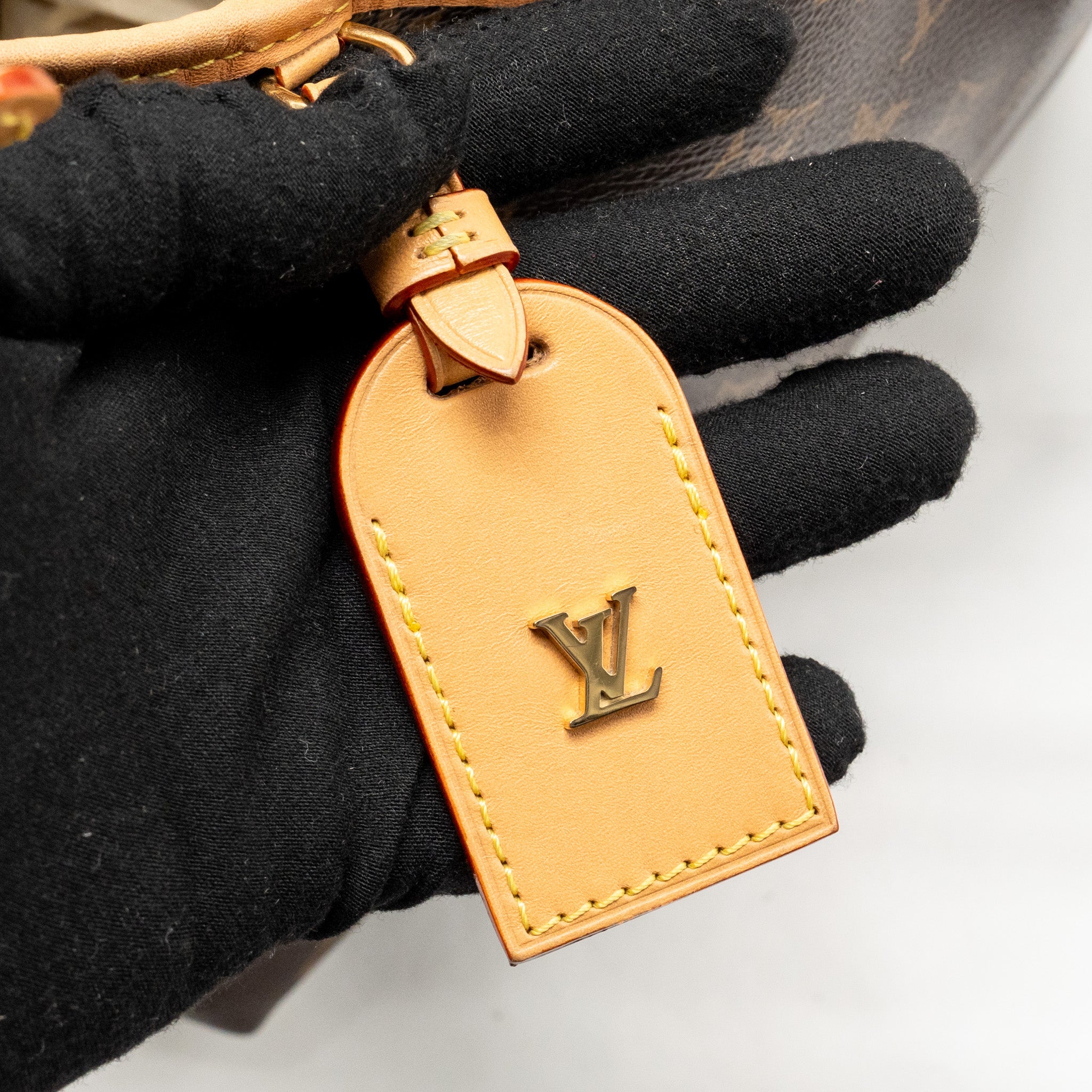 LOUIS VUITTON CARRYALL PM MONOGRAM CANVAS/LEATHER GHW