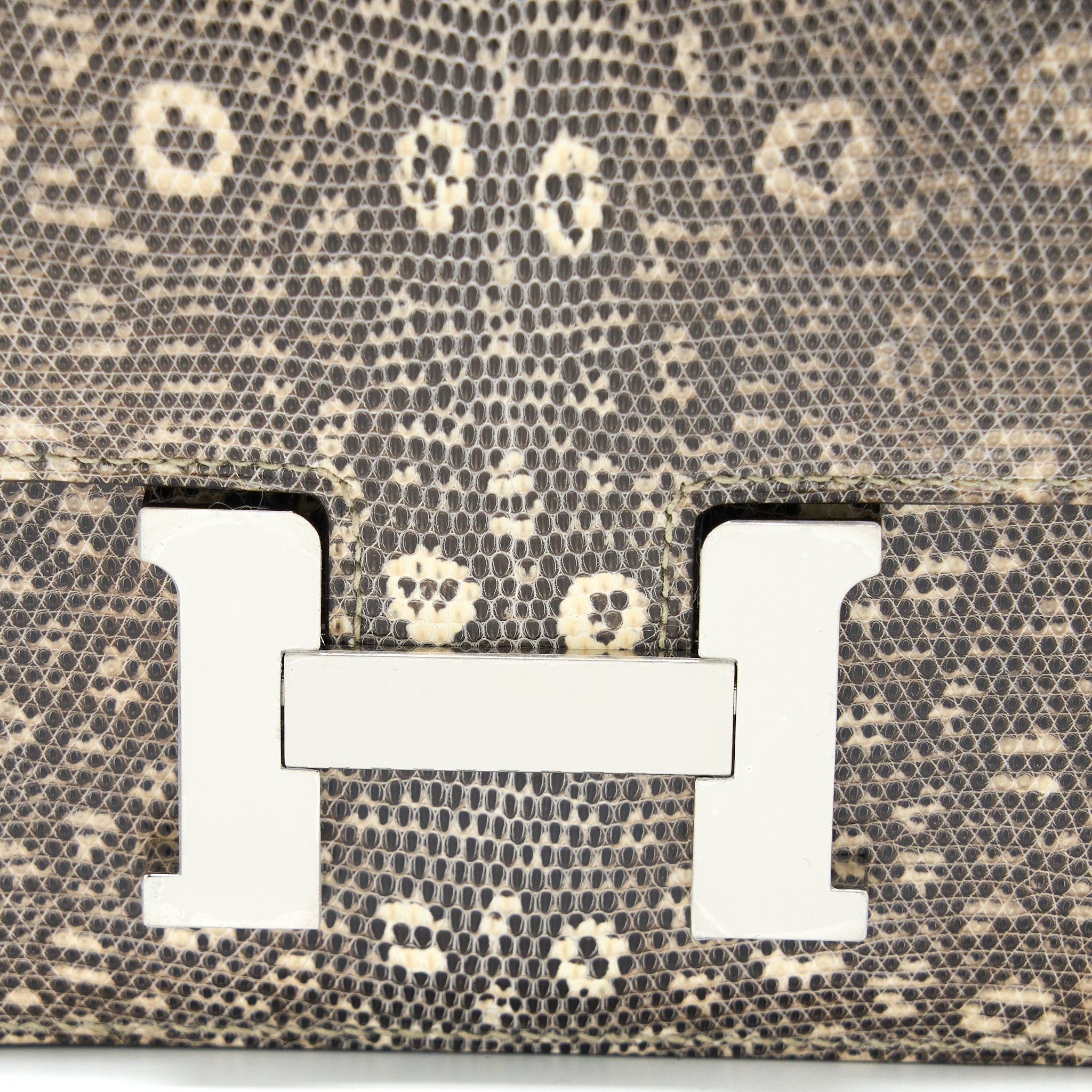 HERMES MINI CONSTANCE LIZARD OMBRÉ SHW