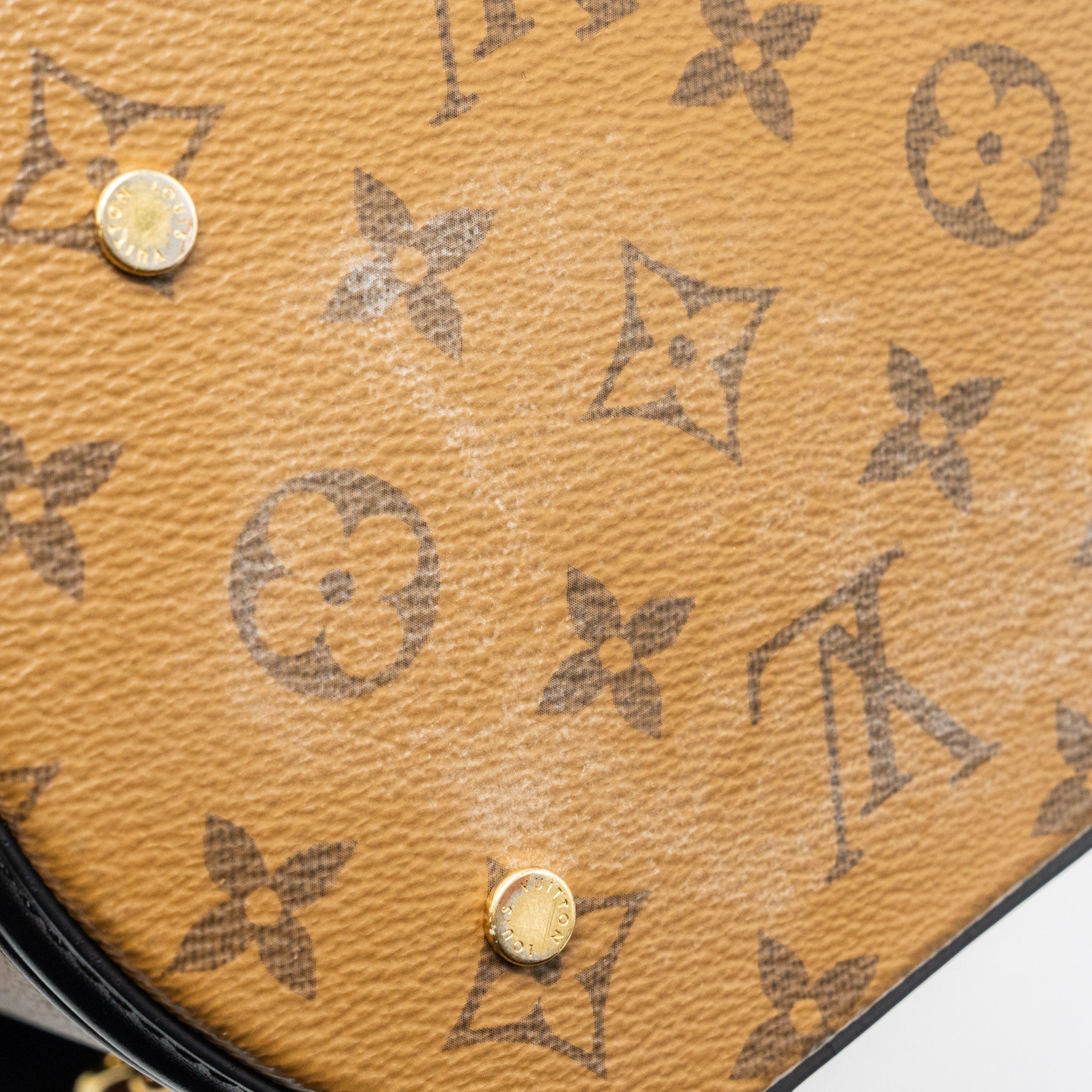 LOUIS VUITTON CANNES MONOGRAM REVERSE CANVAS / MONOGRAM CANVAS GHW
