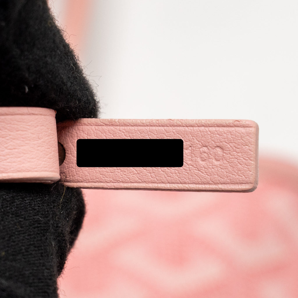 GOYARD MINI ANJOU TOTE GOYARDINE CANVAS / CALFSKIN PINK