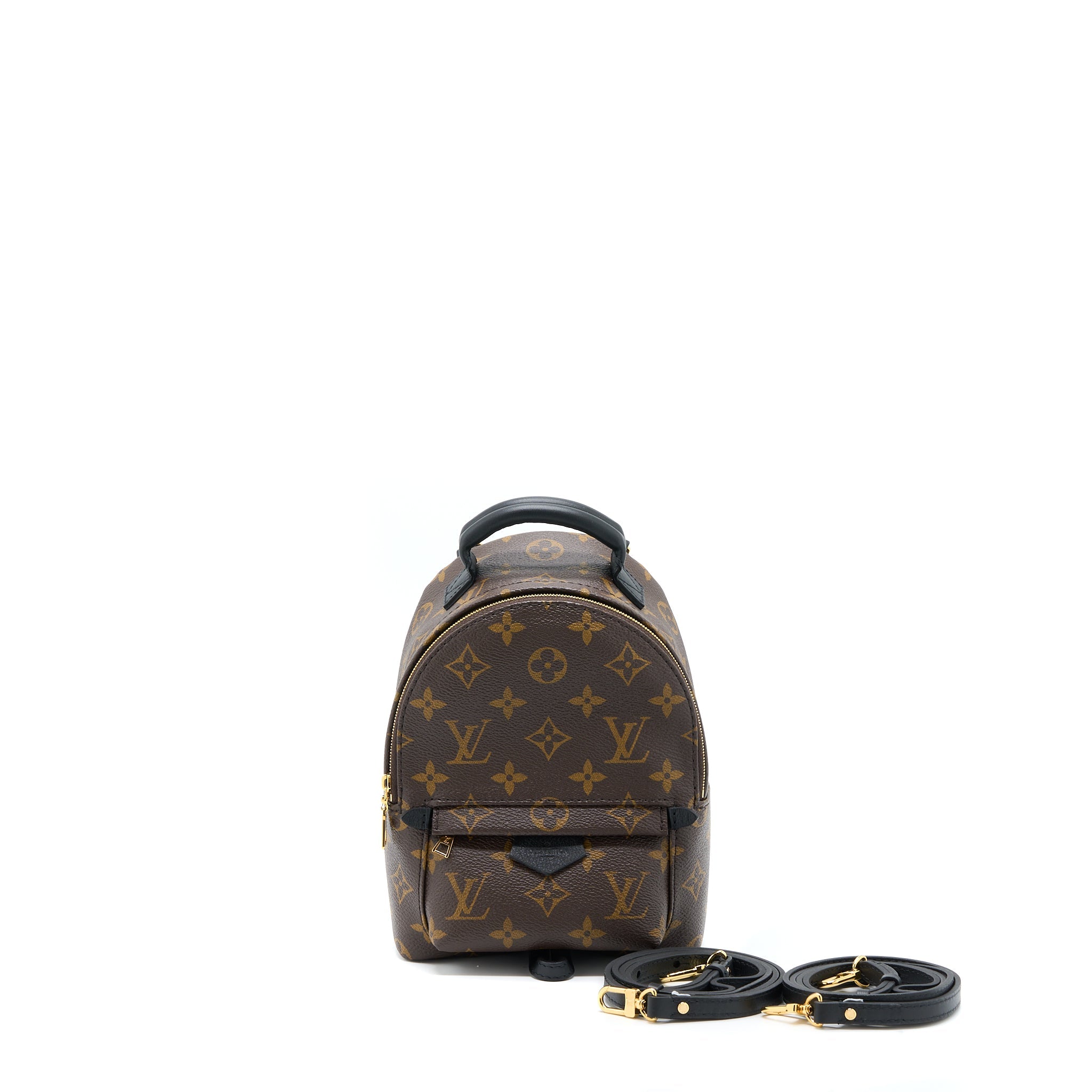 LOUIS VUITTON PALM SPRING MINI BACKPACK MONOGRAM CANVAS GHW
