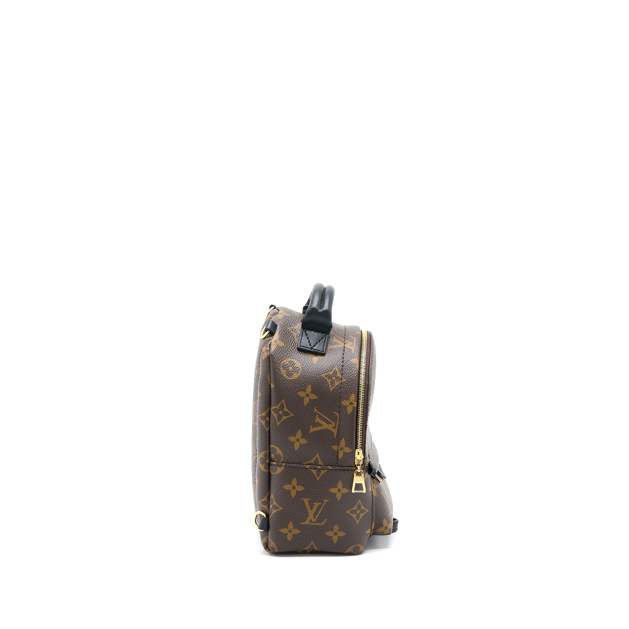 LOUIS VUITTON PALM SPRING MINI BACKPACK MONOGRAM CANVAS GHW