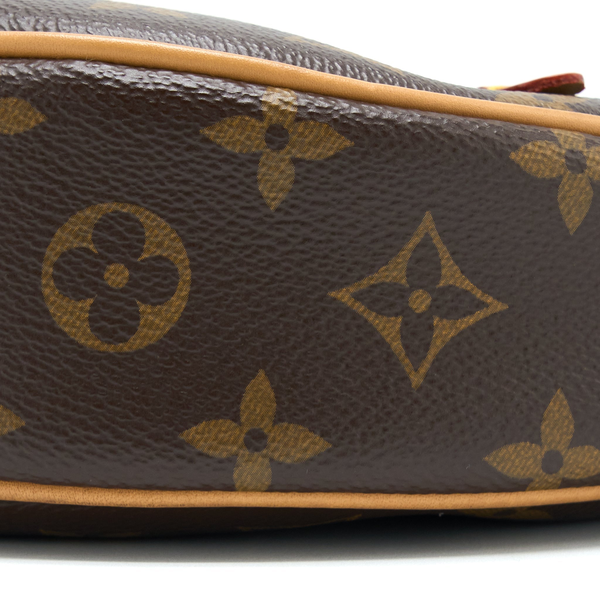 LOUIS VUITTON LOOP BAG MONOGRAM CANVAS GHW (NEW VERSION)