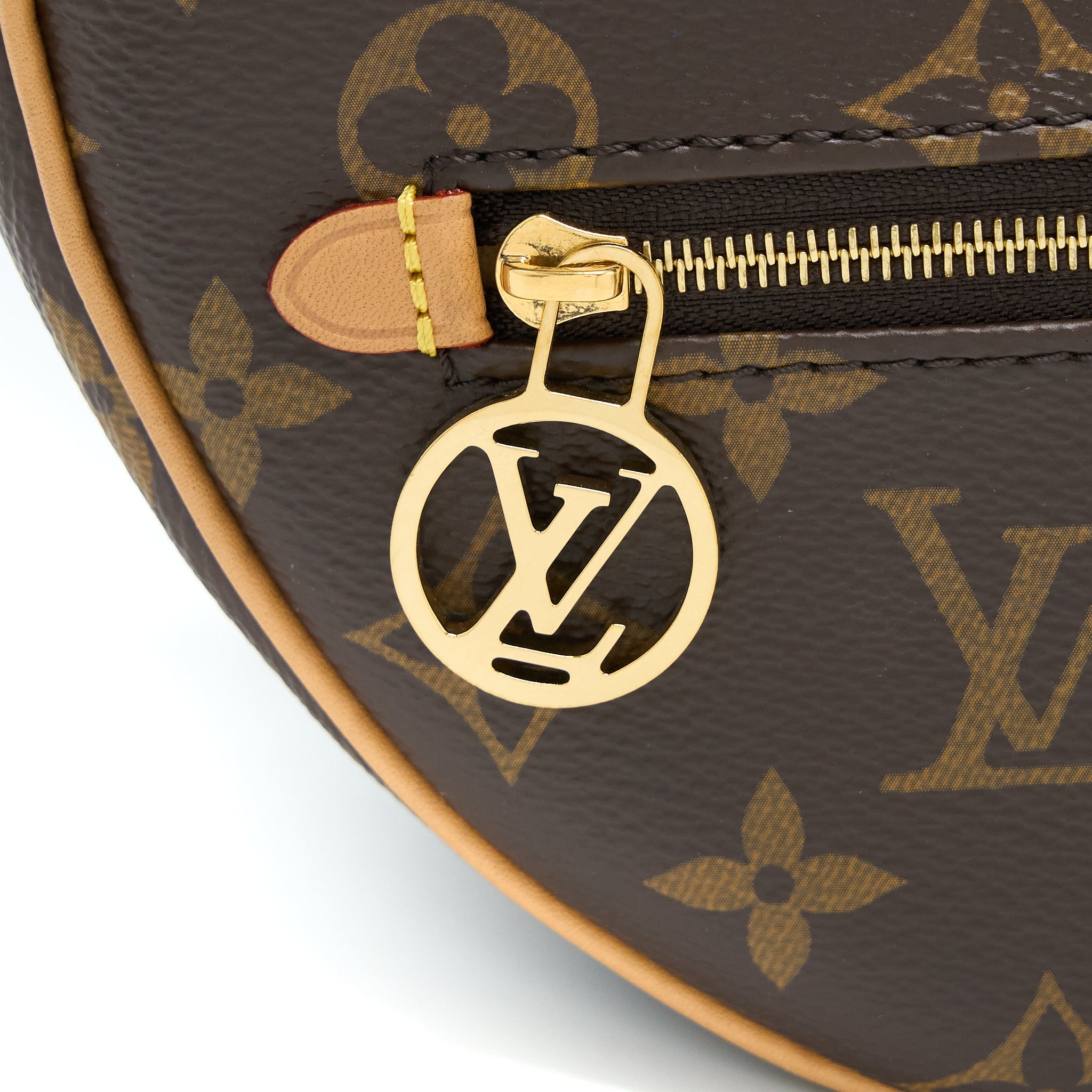 LOUIS VUITTON LOOP BAG MONOGRAM CANVAS GHW (NEW VERSION)