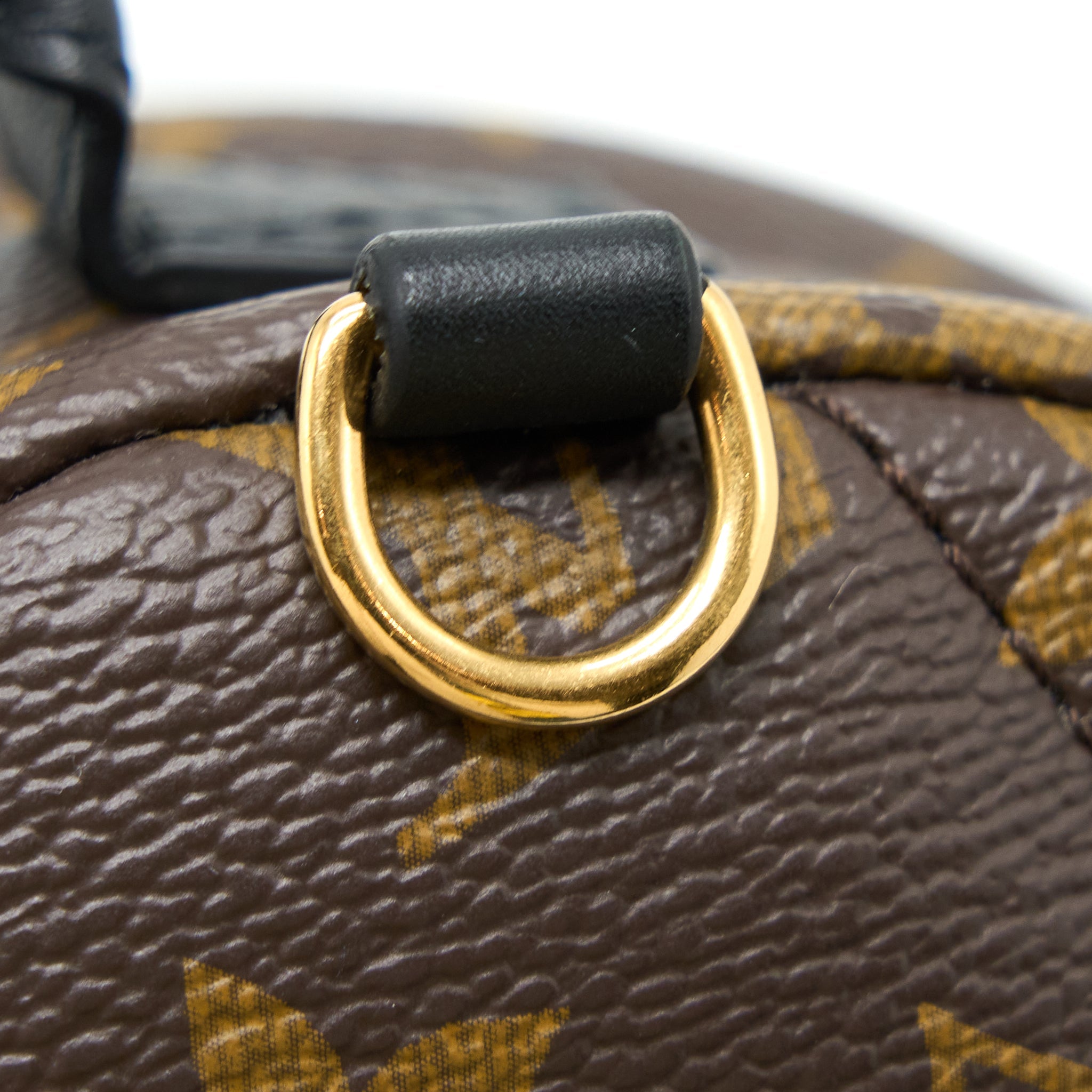 LOUIS VUITTON PALM SPRING MINI BACKPACK MONOGRAM CANVAS GHW