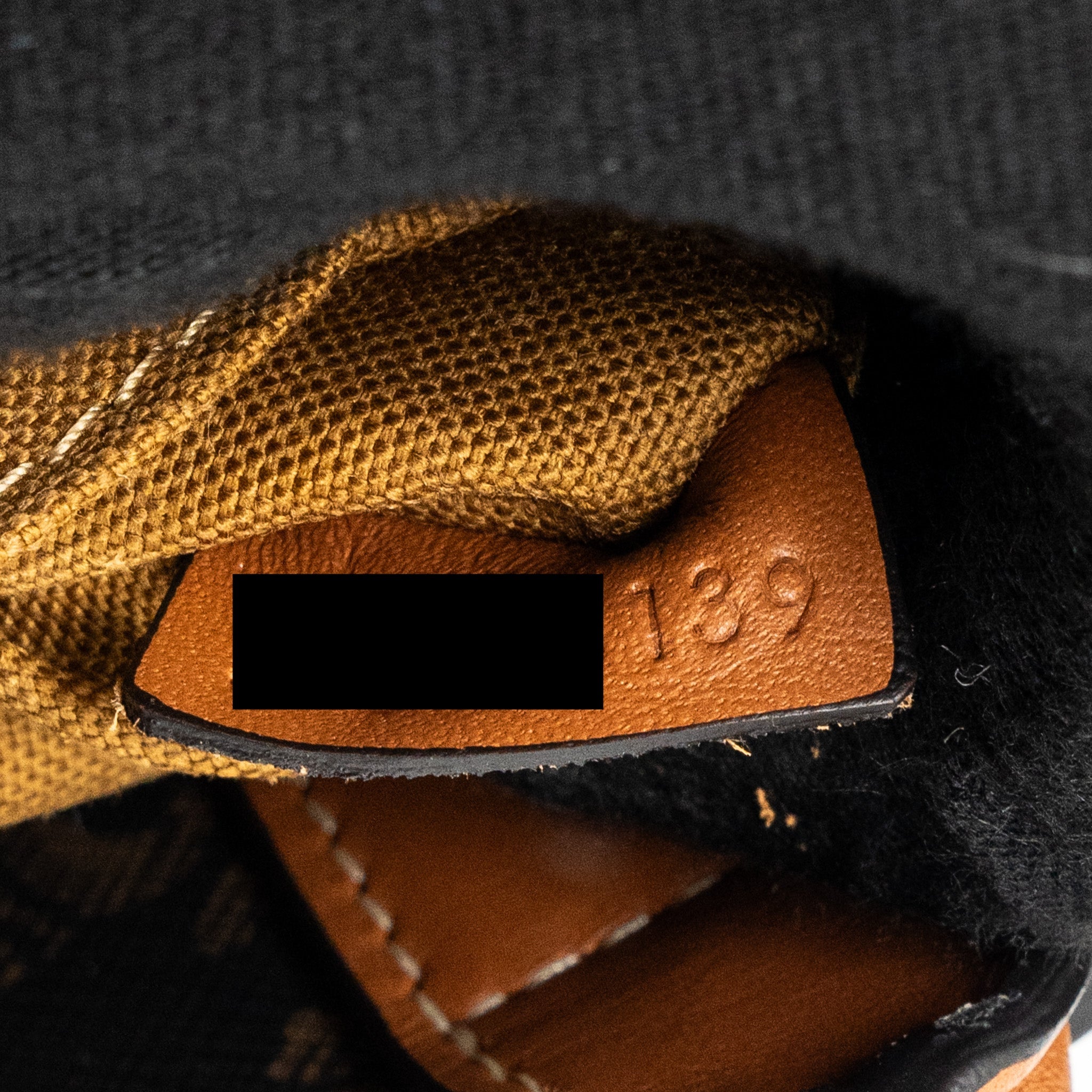 CELINE CABAS VERTICAL IN TRIOMPHE CANVAS AND CALFSKIN TAN GHW