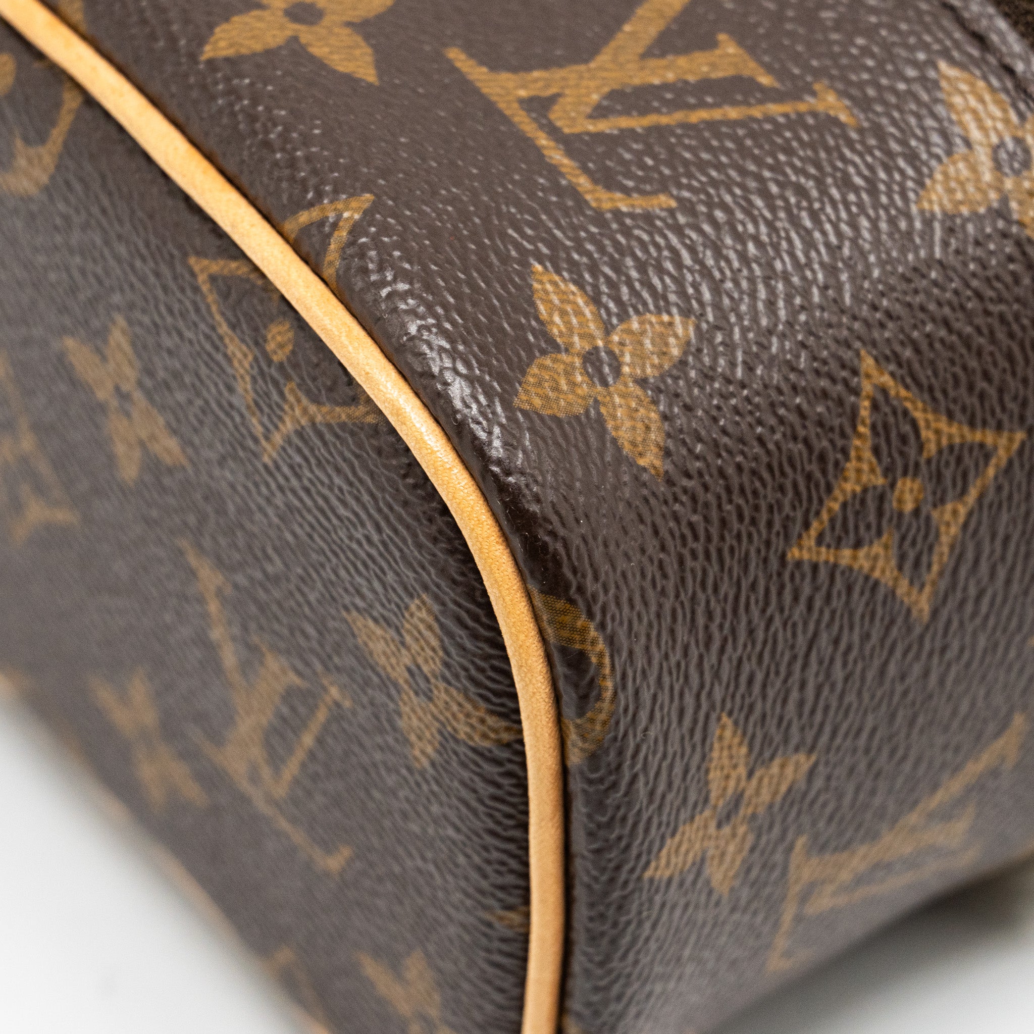LOUIS VUITTON NICE NANO MONOGRAM CANVAS GHW