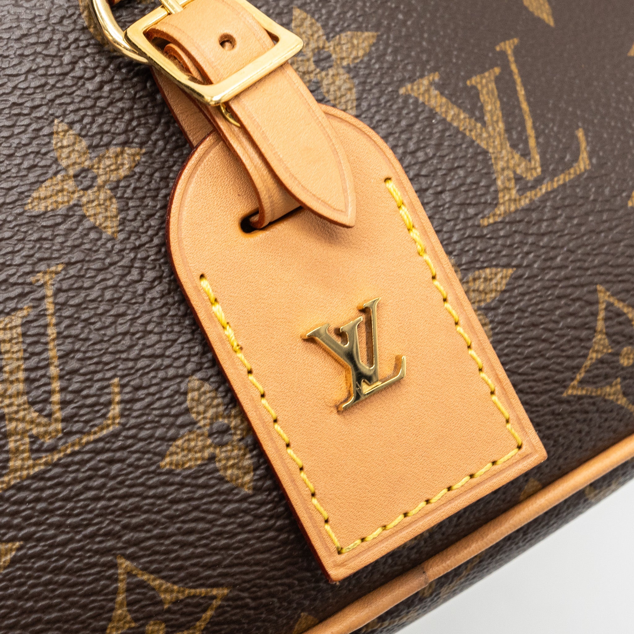 LOUIS VUITTON MINI DEAUVILLE SHOULDER BAG MONOGRAM CANVAS GHW