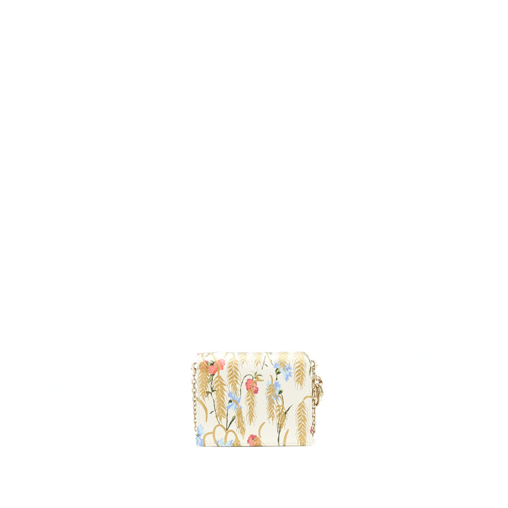 DIOR CARD HOLDER WITH CHAINS LGHW