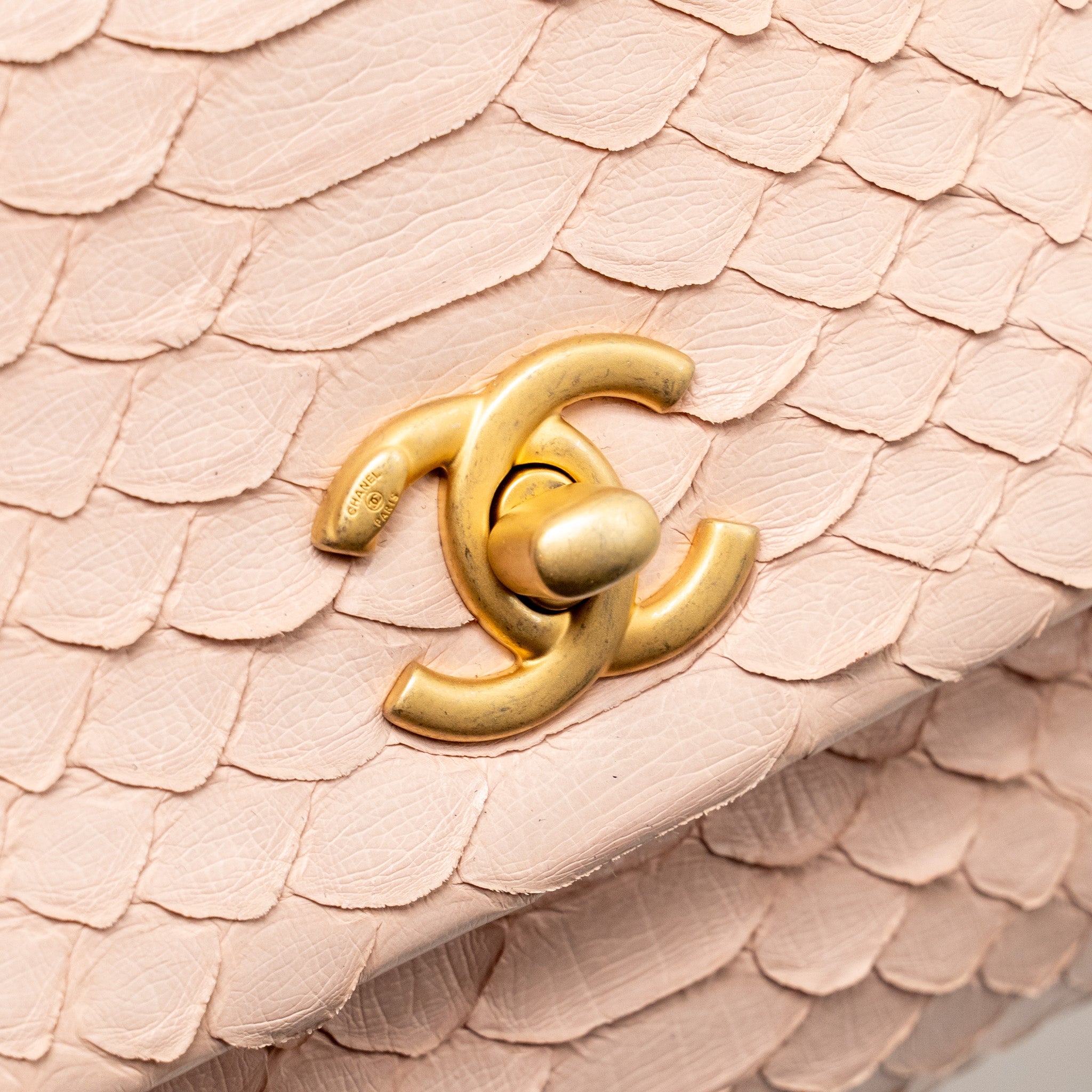 CHANEL SMALL COCO HANDLE PYTHON LIGHT PINK GHW