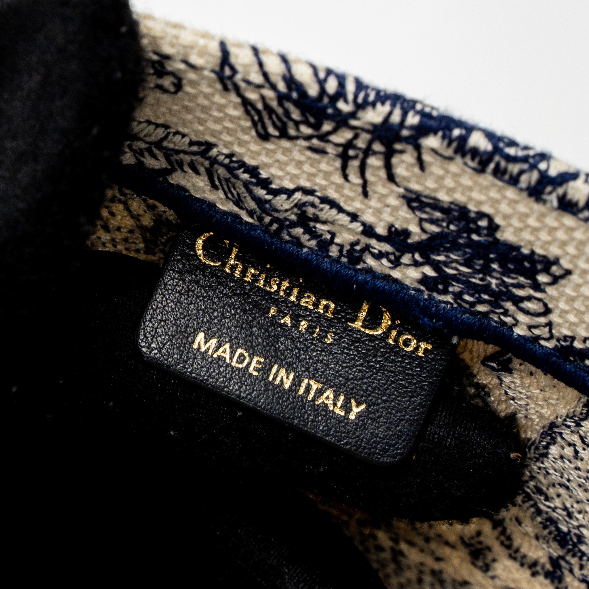 DIOR MEDIUM BOOK TOTE BLUE TOILE DE JOUY EMBROIDERY