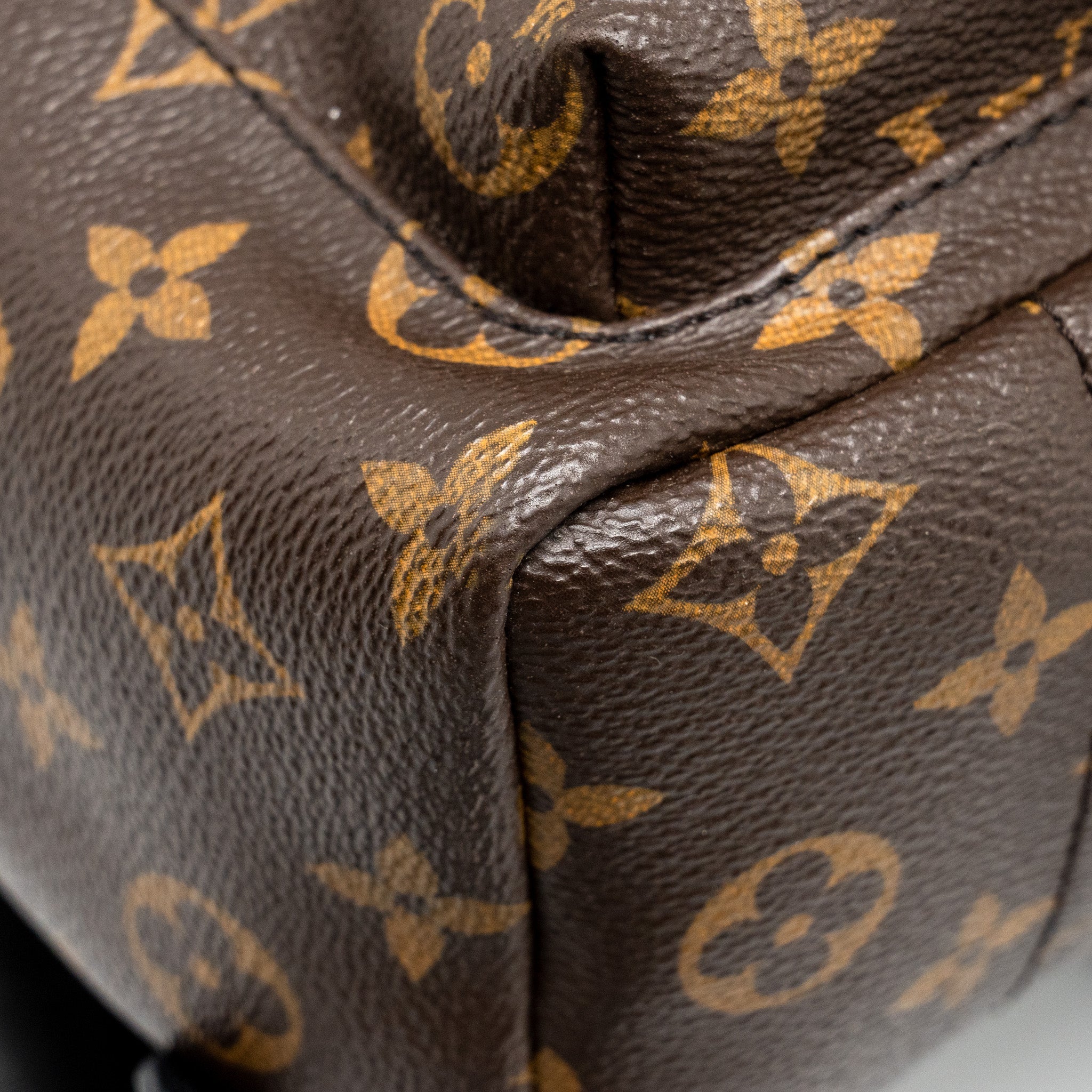 LOUIS VUITTON PALM SPRING PM BACKPACK MONOGRAM CANVAS GHW