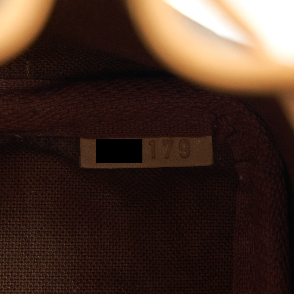 LOUIS VUITTON NANO NOE MONOGRAM CANVAS YEAR 2019