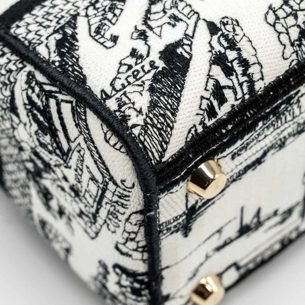 DIOR MEDIUM LADY D-LITE BAG PLAN DE PARIS EMBROIDERY CANVAS BLACK/WHITE LGHW