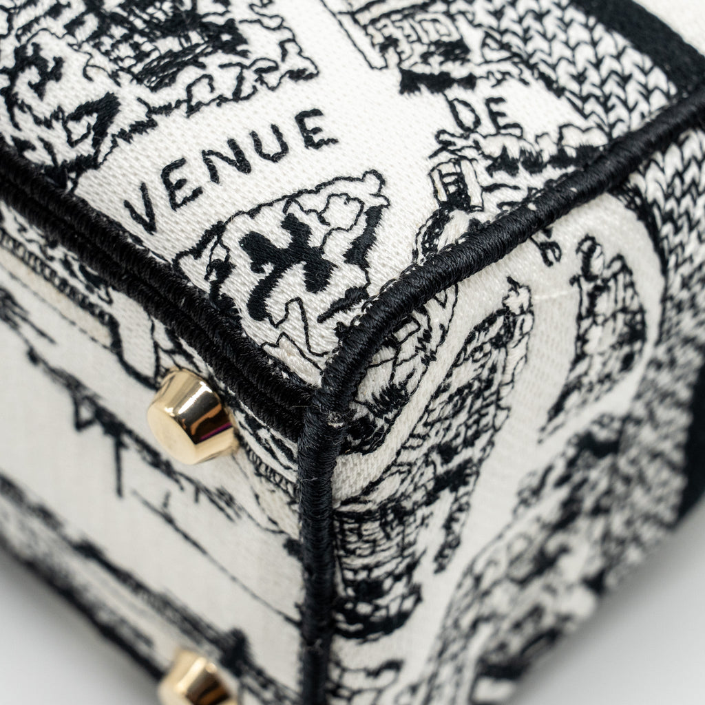 DIOR MEDIUM LADY D-LITE BAG PLAN DE PARIS EMBROIDERY CANVAS BLACK/WHITE LGHW